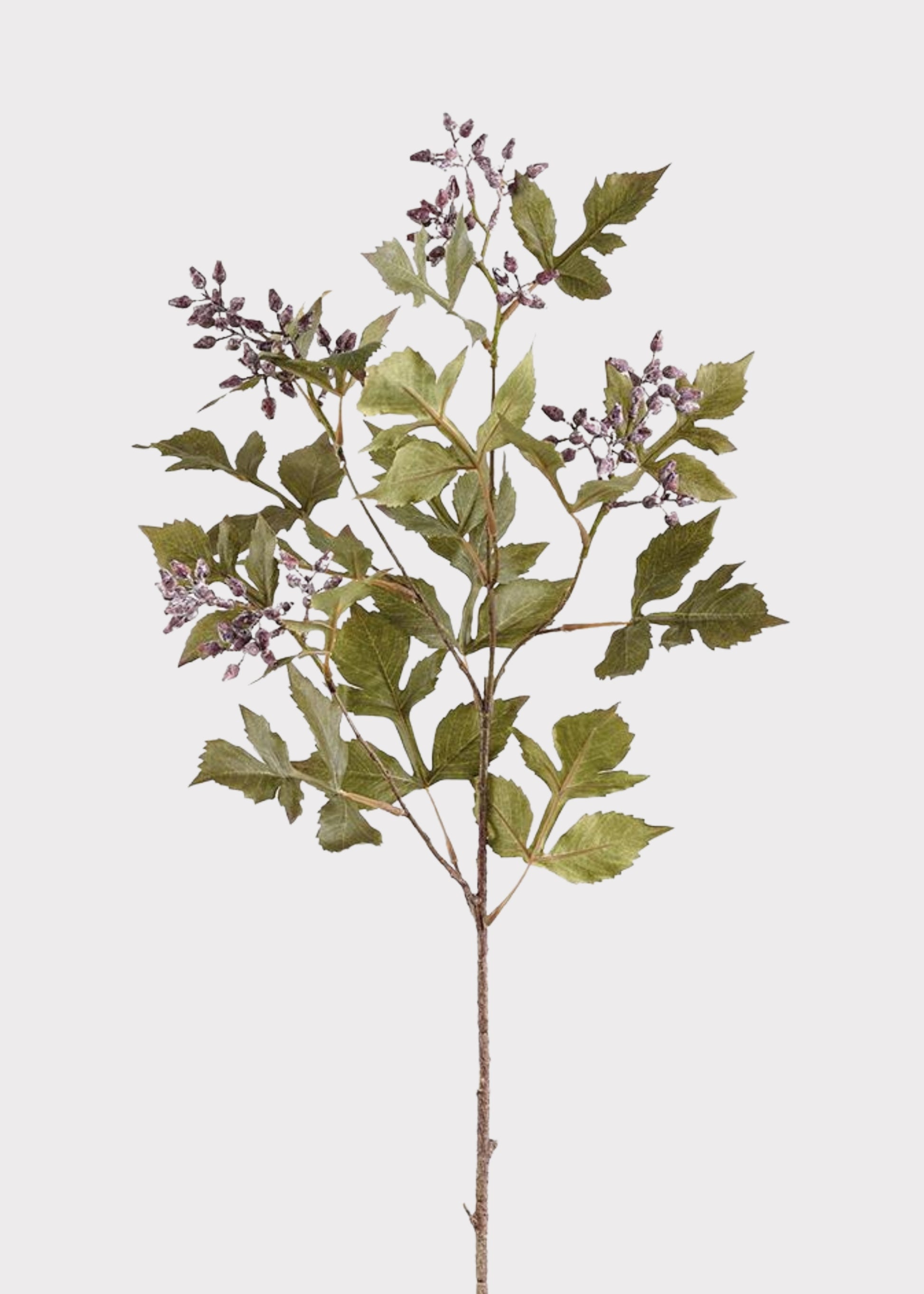 Artificial Seeded Ash Leaf Branch