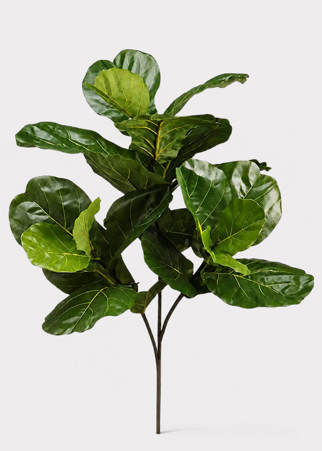 Tall Artificial Fiddle Leaf Fig Branch