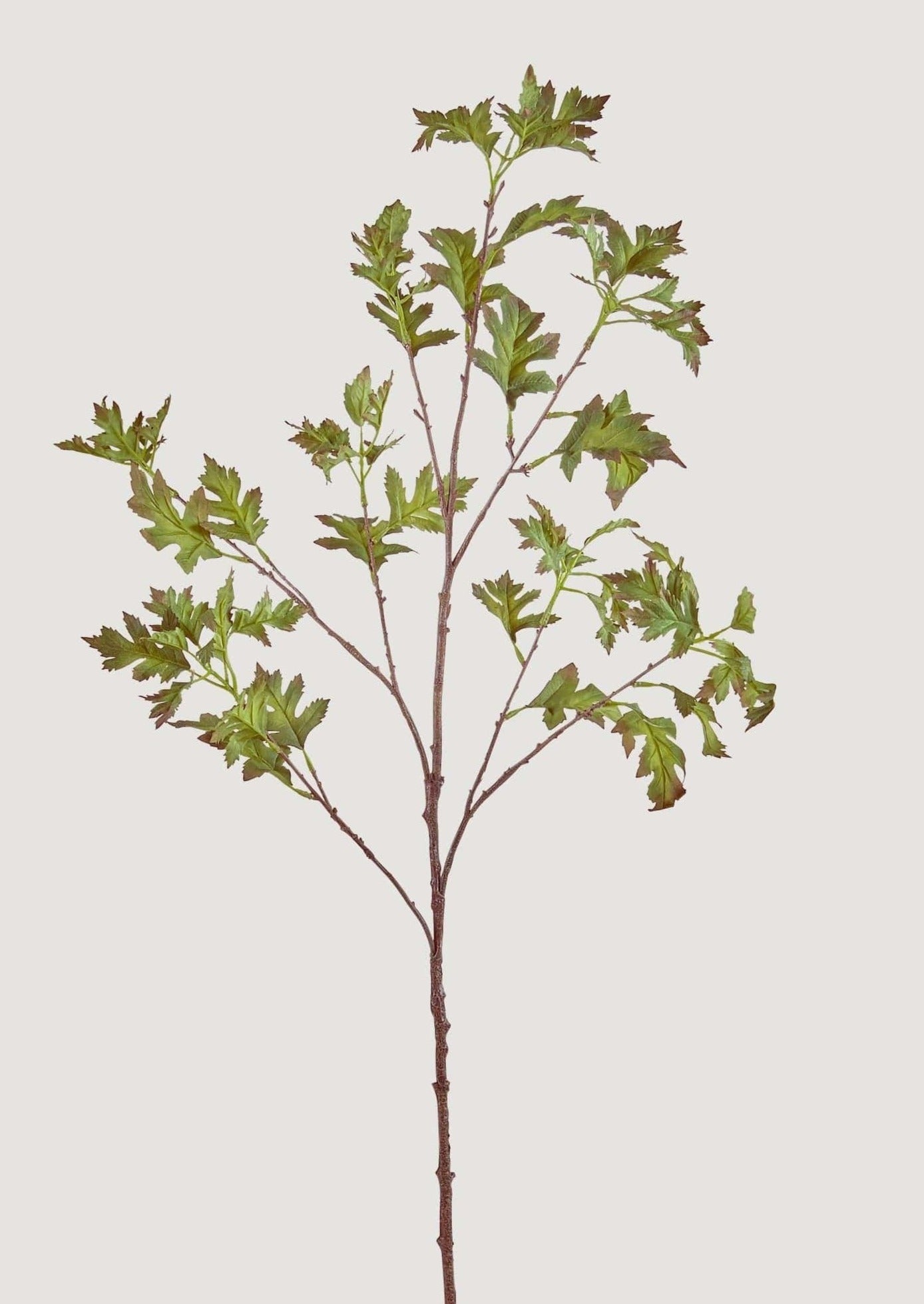 Premium Faux Leaf Branches Green Hawthorn Branch at Afloral
