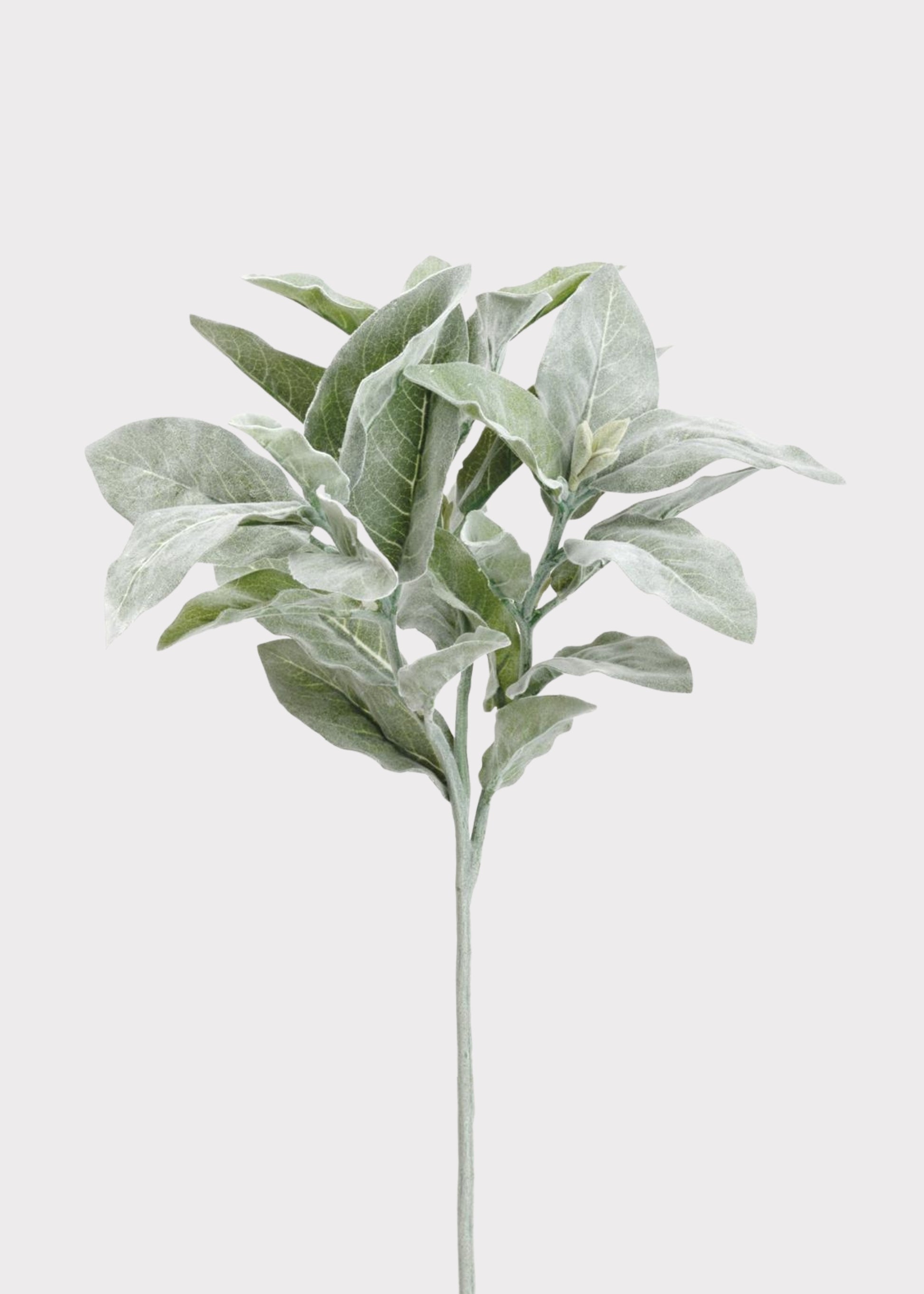 Faux Flocked Lamb's Ear Leaves