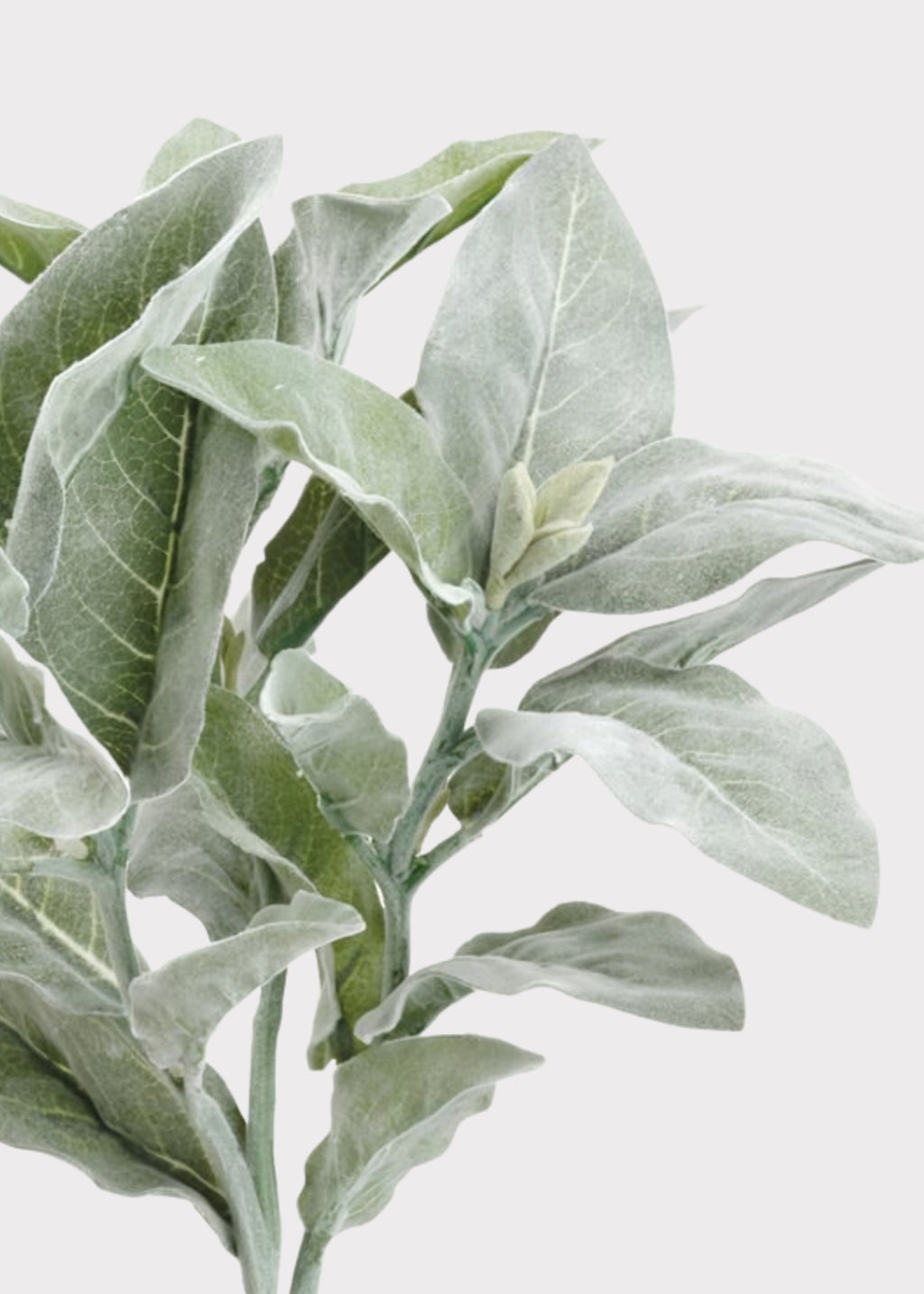 faux flocked lamb's ear