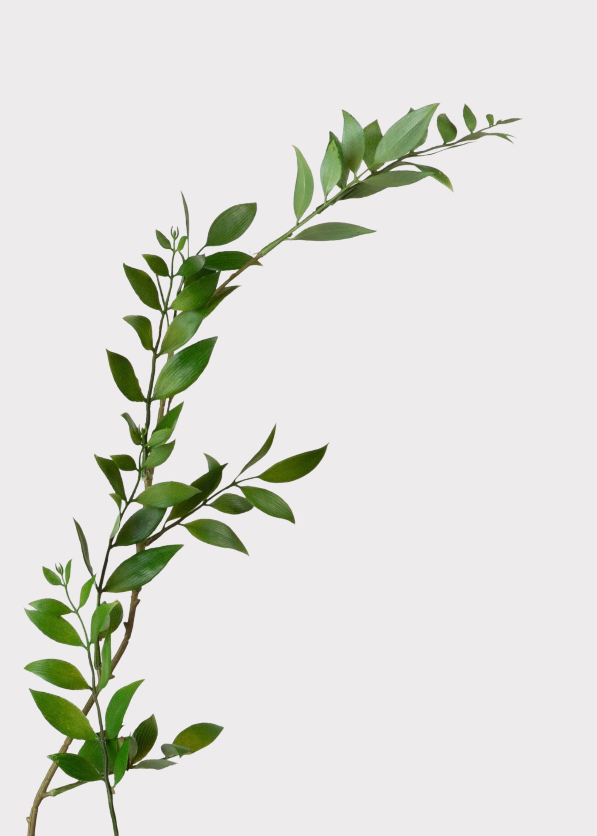 Artificial Broadleaf Podocarpus Leaf Branch