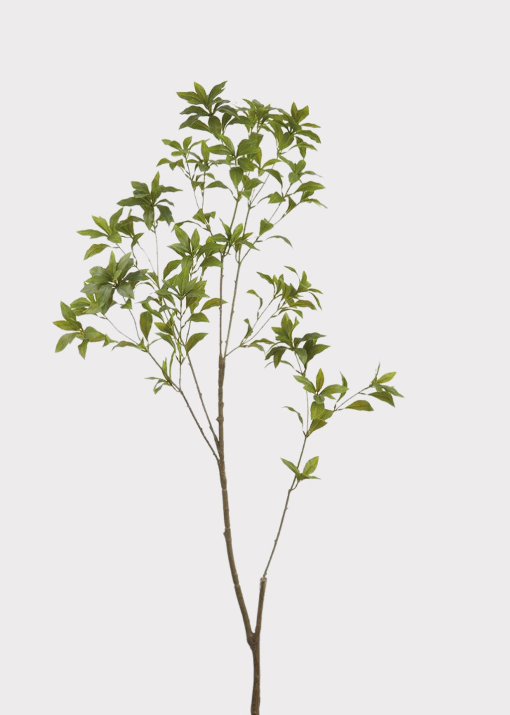 Fake Japonica Leaf Branch