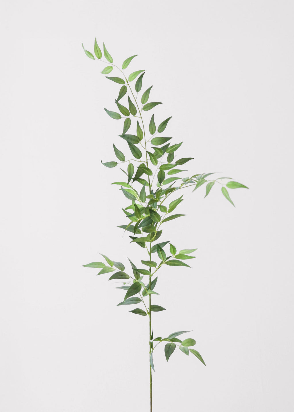 Fake Leaves Tall Italian Ruscus Leaf Branch at Afloral