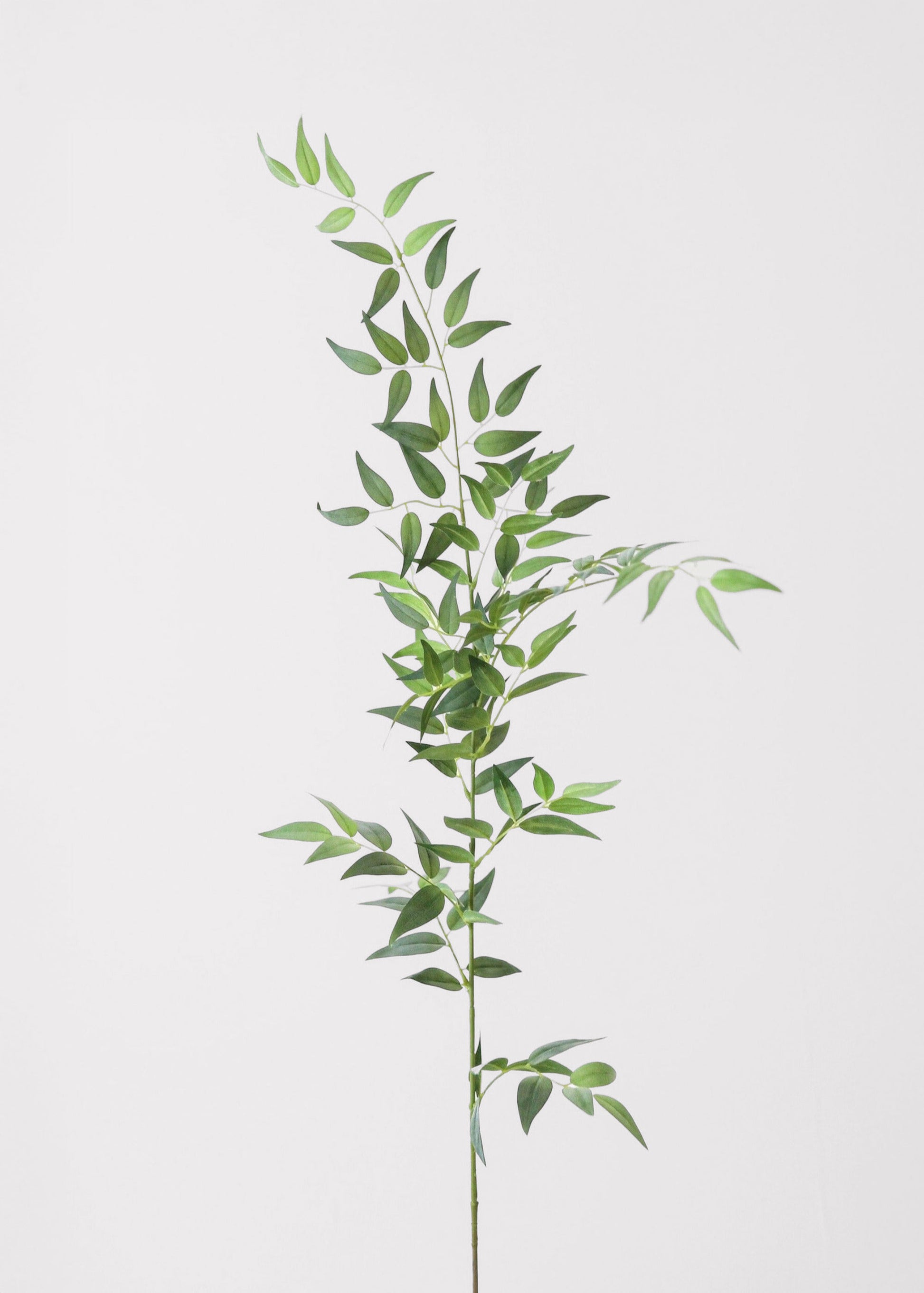 Fake Leaves Tall Italian Ruscus Leaf Branch at Afloral