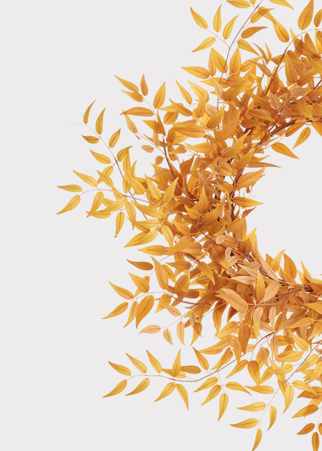 Autumn Mustard Italian Ruscus Leaf Wreath 