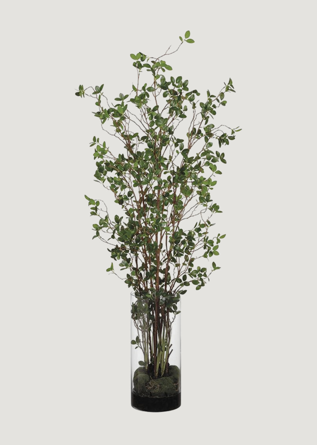Artificial Tree Plant in Glass Cylinder Vase