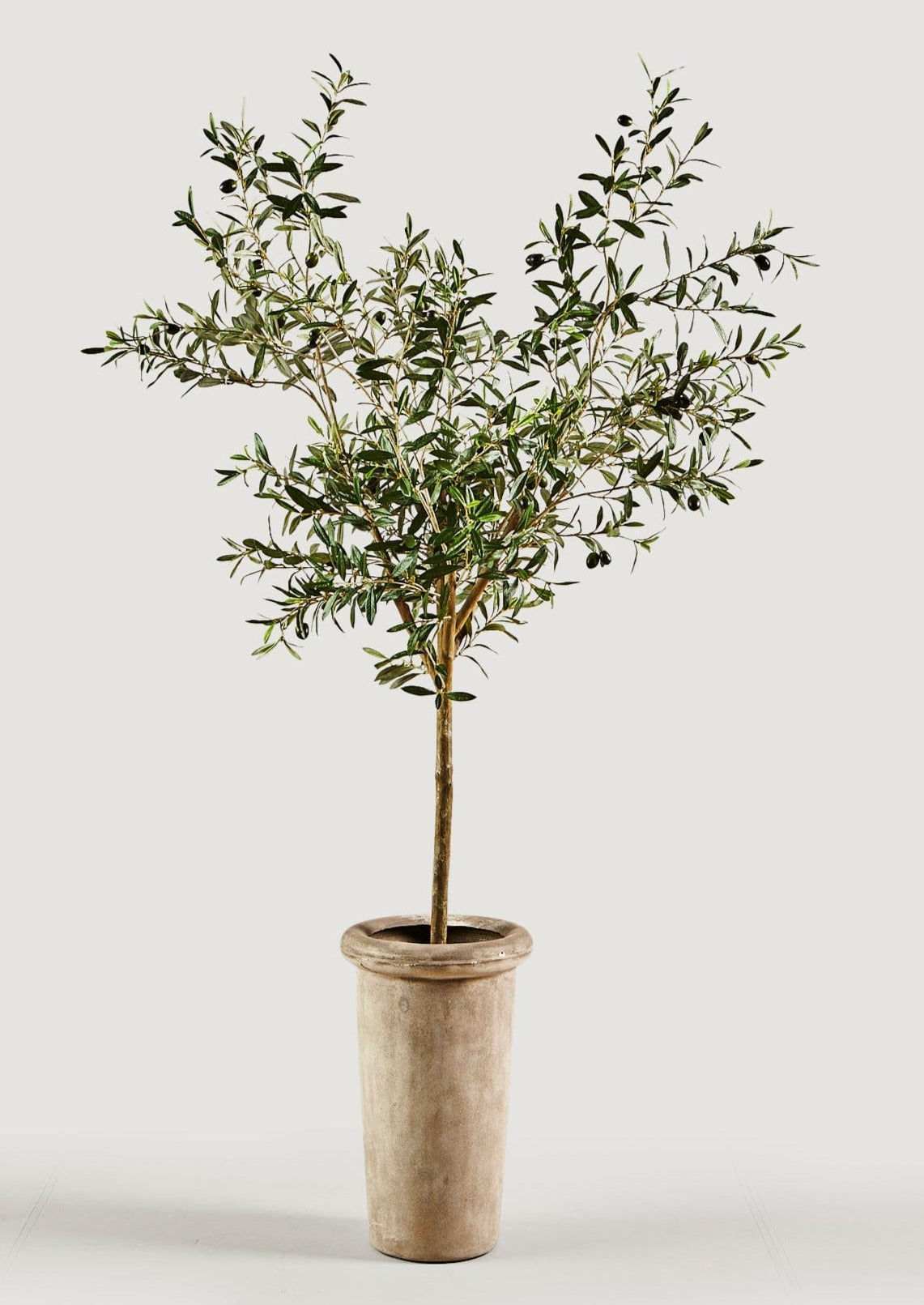 Luxury Faux Potted Plants Olive Tree in Cement Pot at Afloral