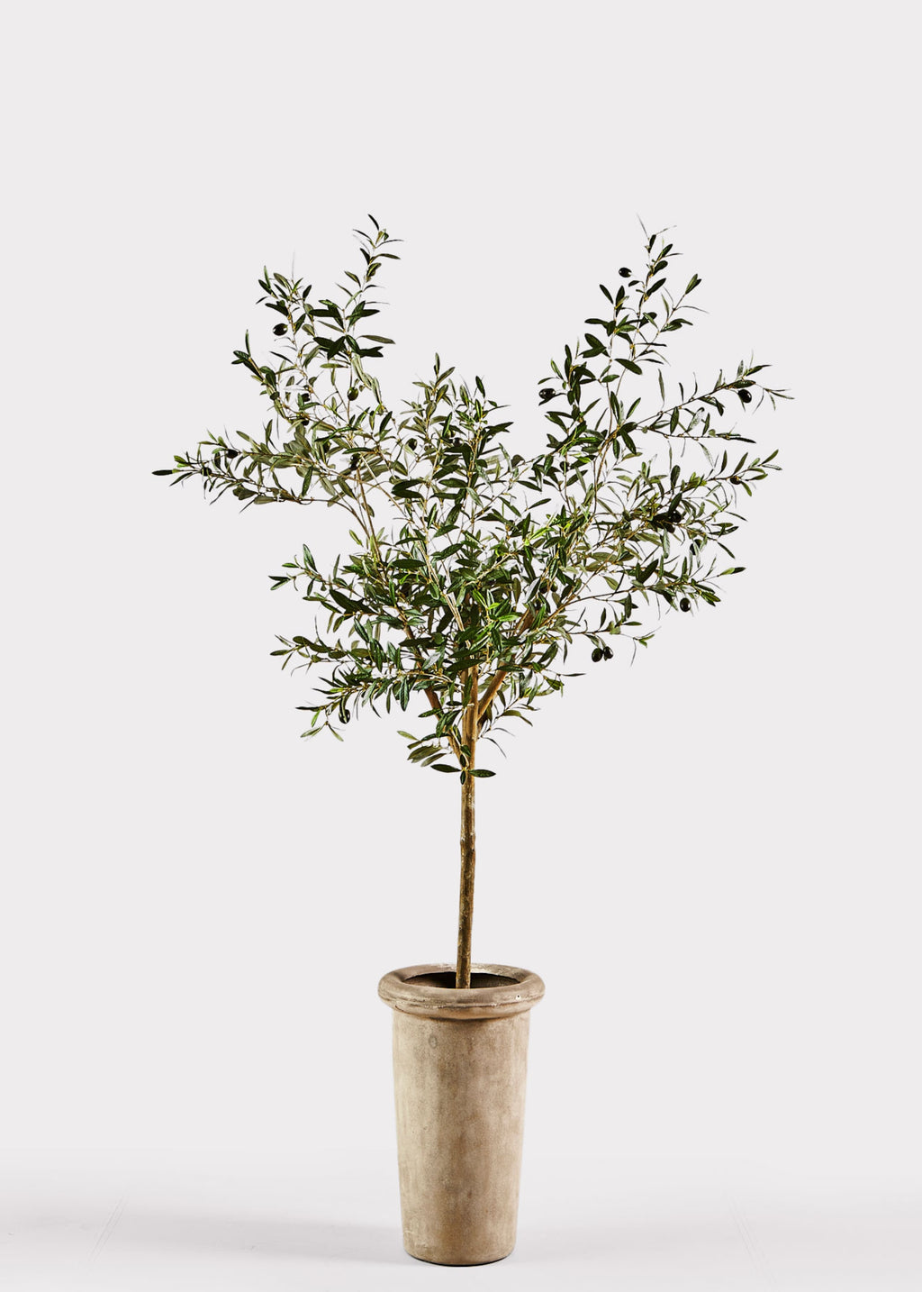 Luxury Faux Potted Plants Olive Tree in Cement Pot at Afloral