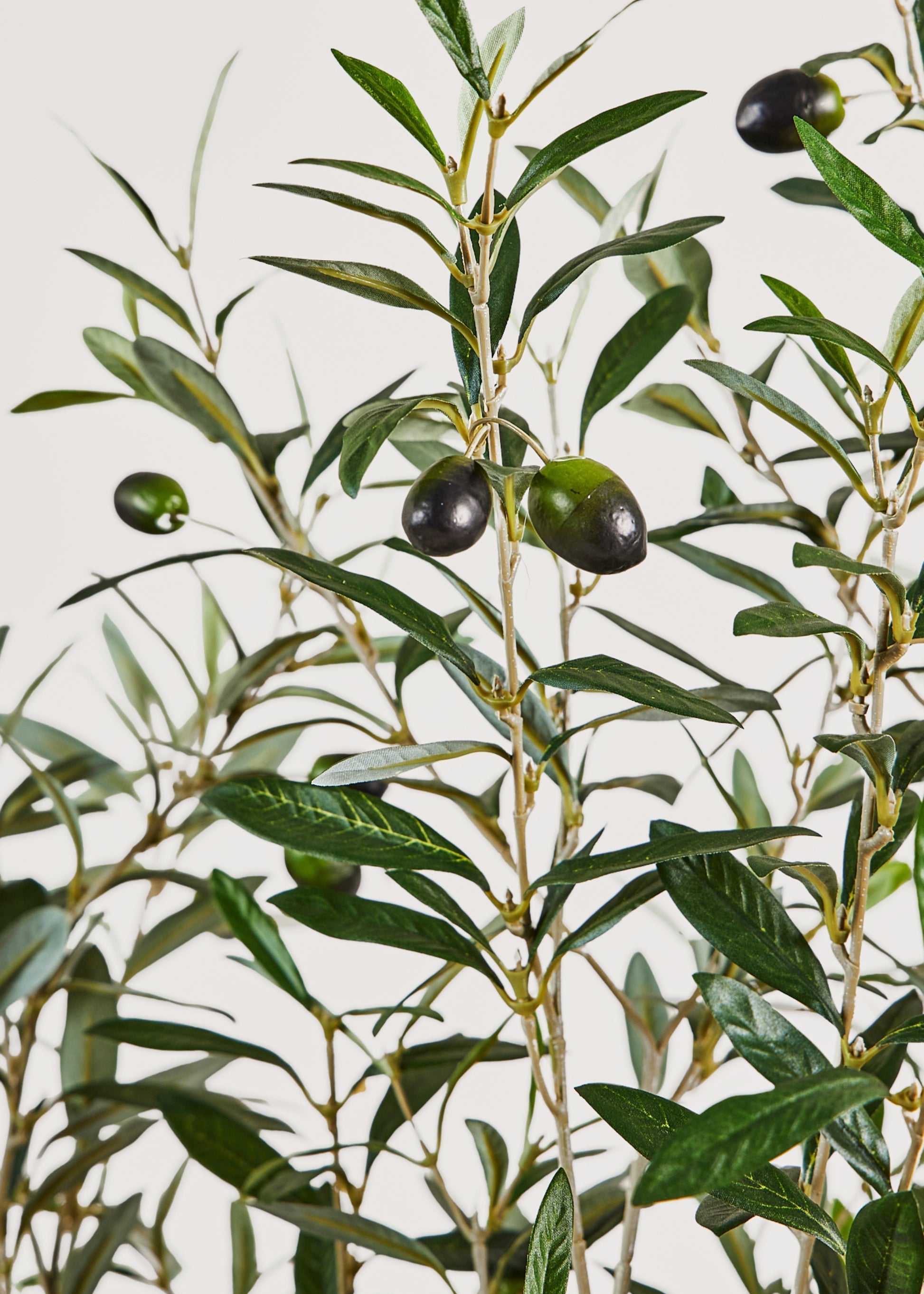 Artificial Olive Tree Potted Plant in Closeup