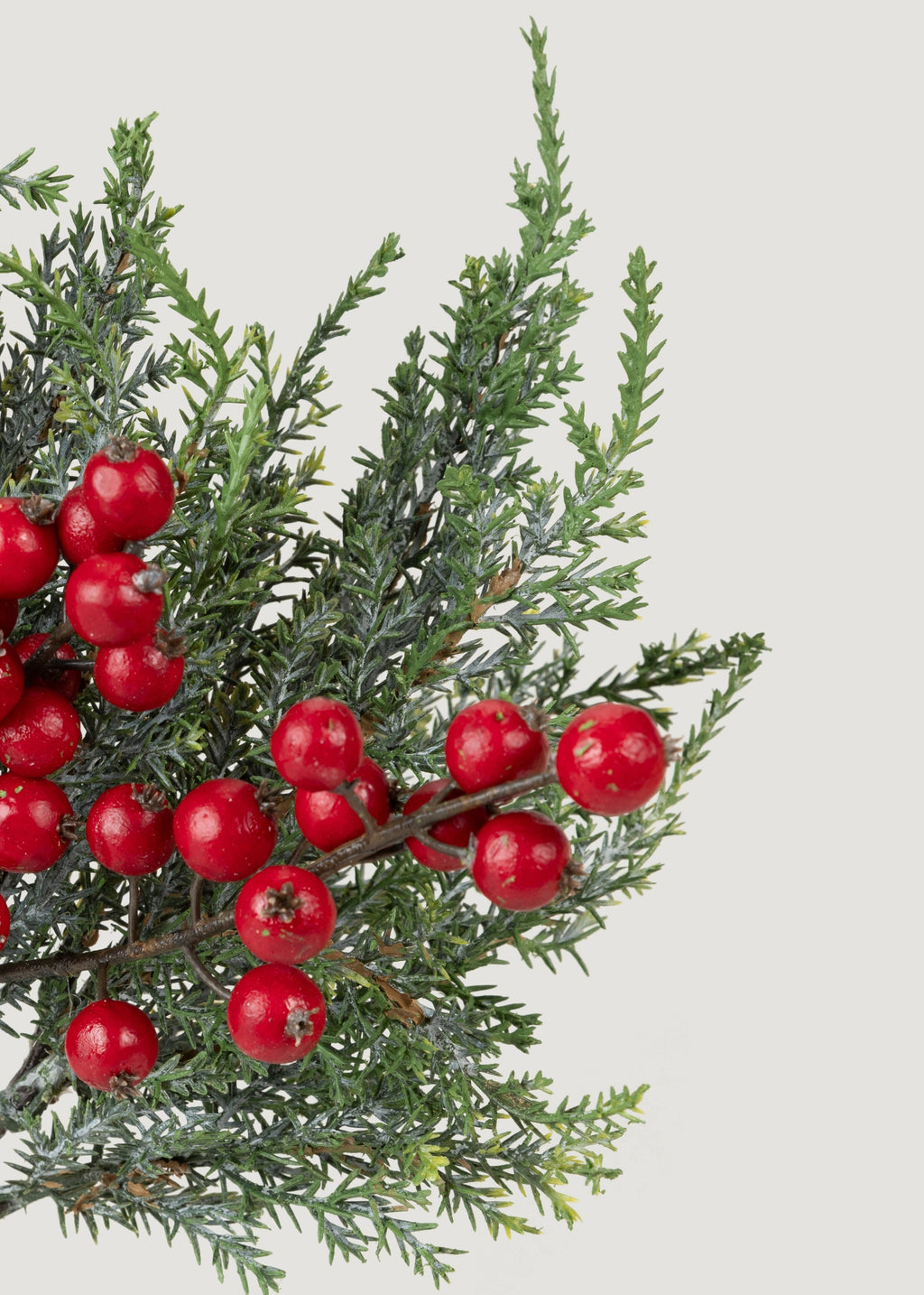 Close-up of Fake Cedar and Red Berries