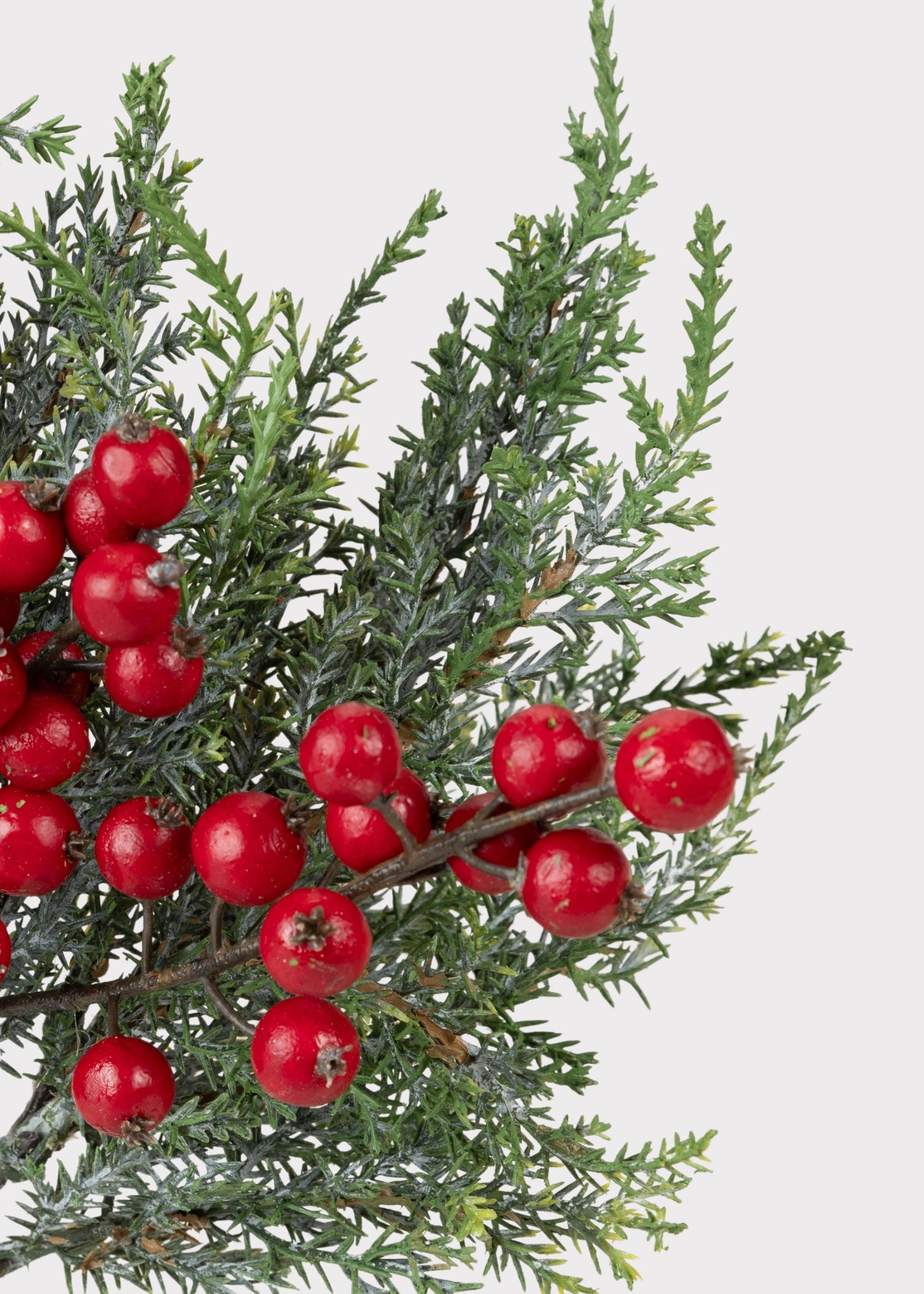 Close-up of Fake Cedar and Red Berries