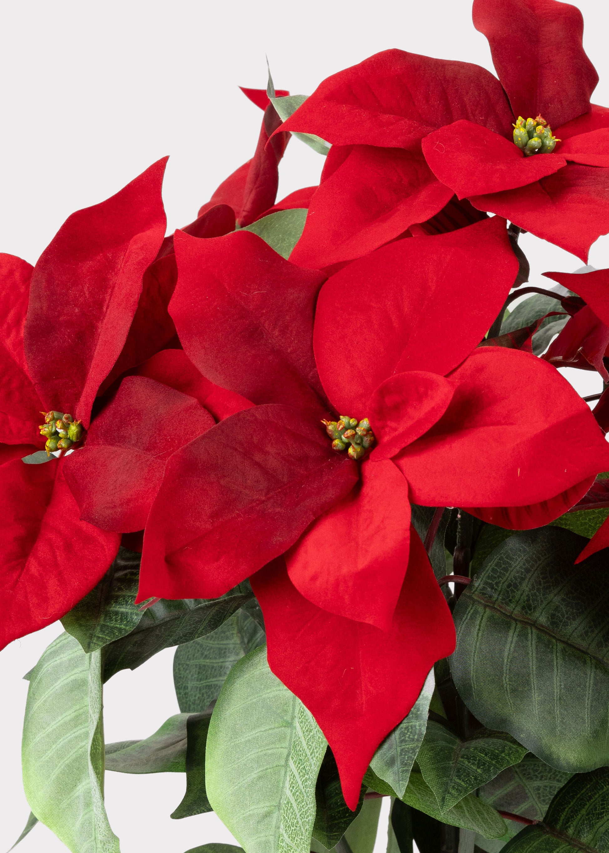 artificial poinsettia plant in pot Red Artificial Poinsettia Tree Potted Plant