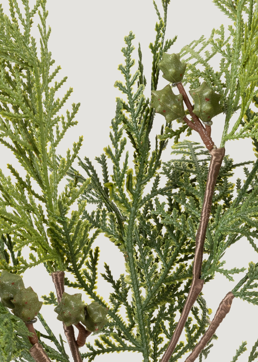 Close-up of Fake Cedar