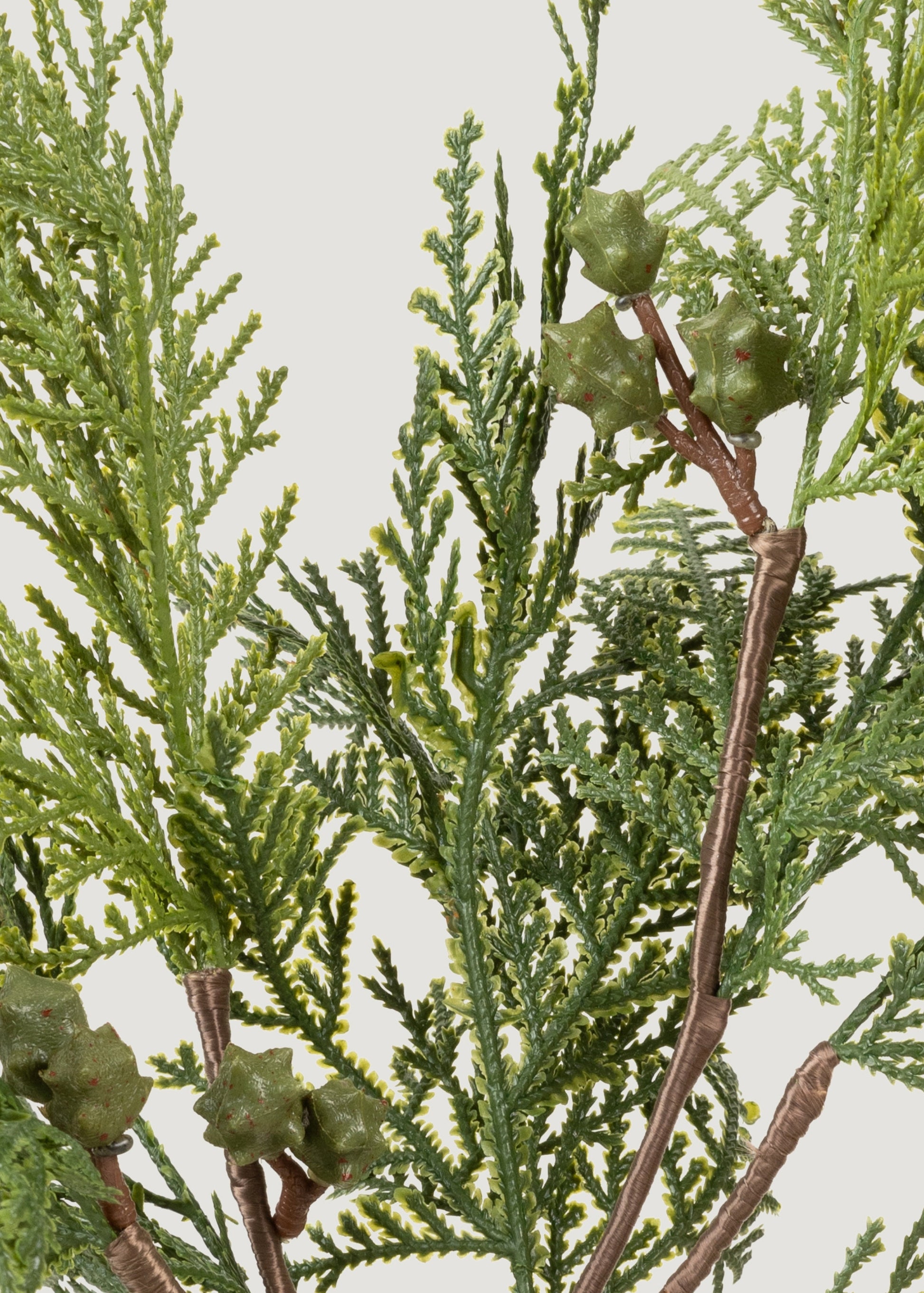 Close-up of Fake Cedar