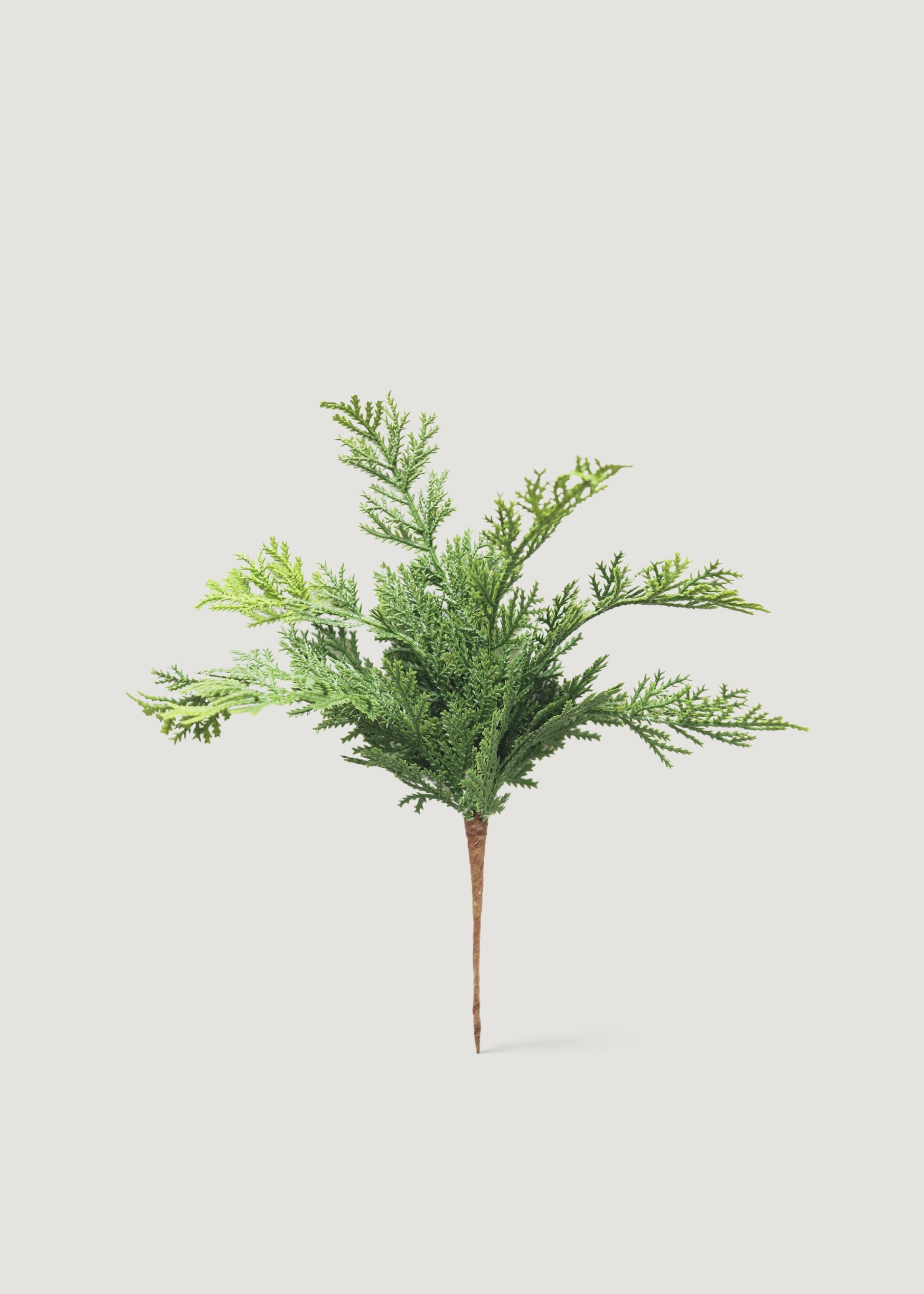 Fake Greenery Real Touch Cedar from Afloral