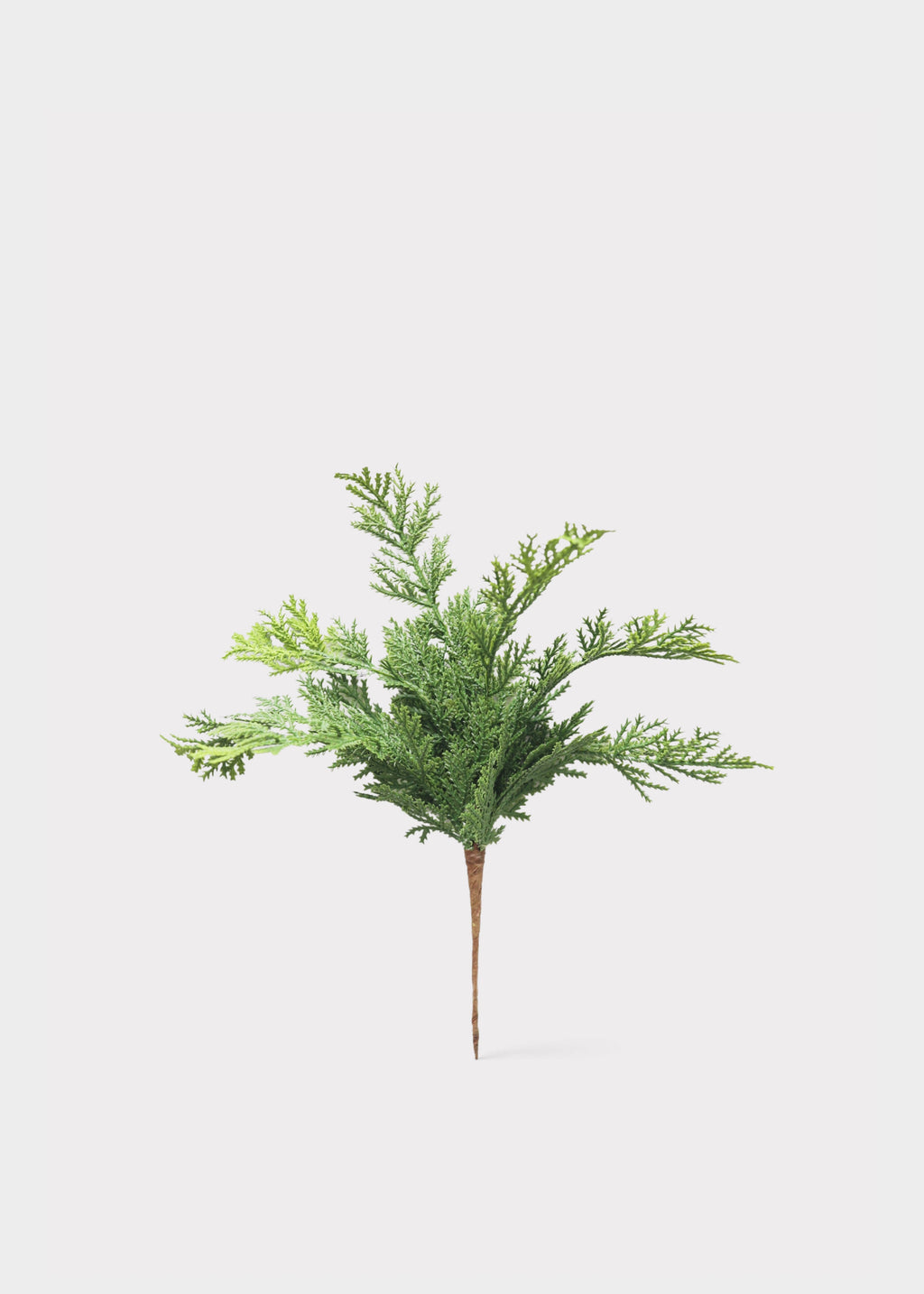 Fake Greenery Real Touch Cedar from Afloral