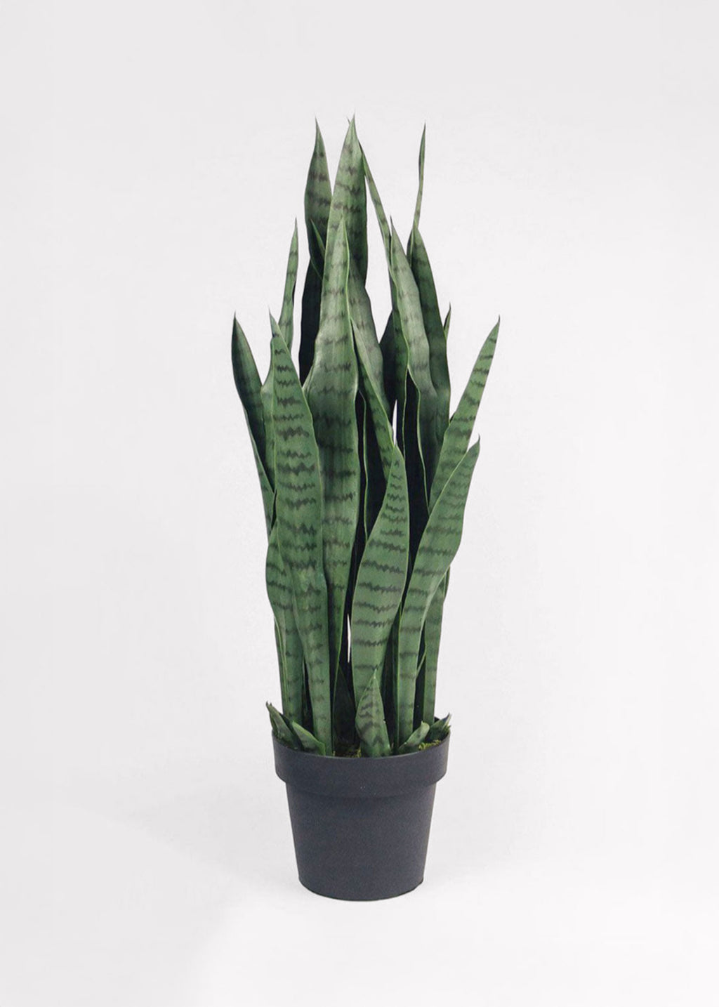 Artificial Potted Plants Snake Plant in Pot