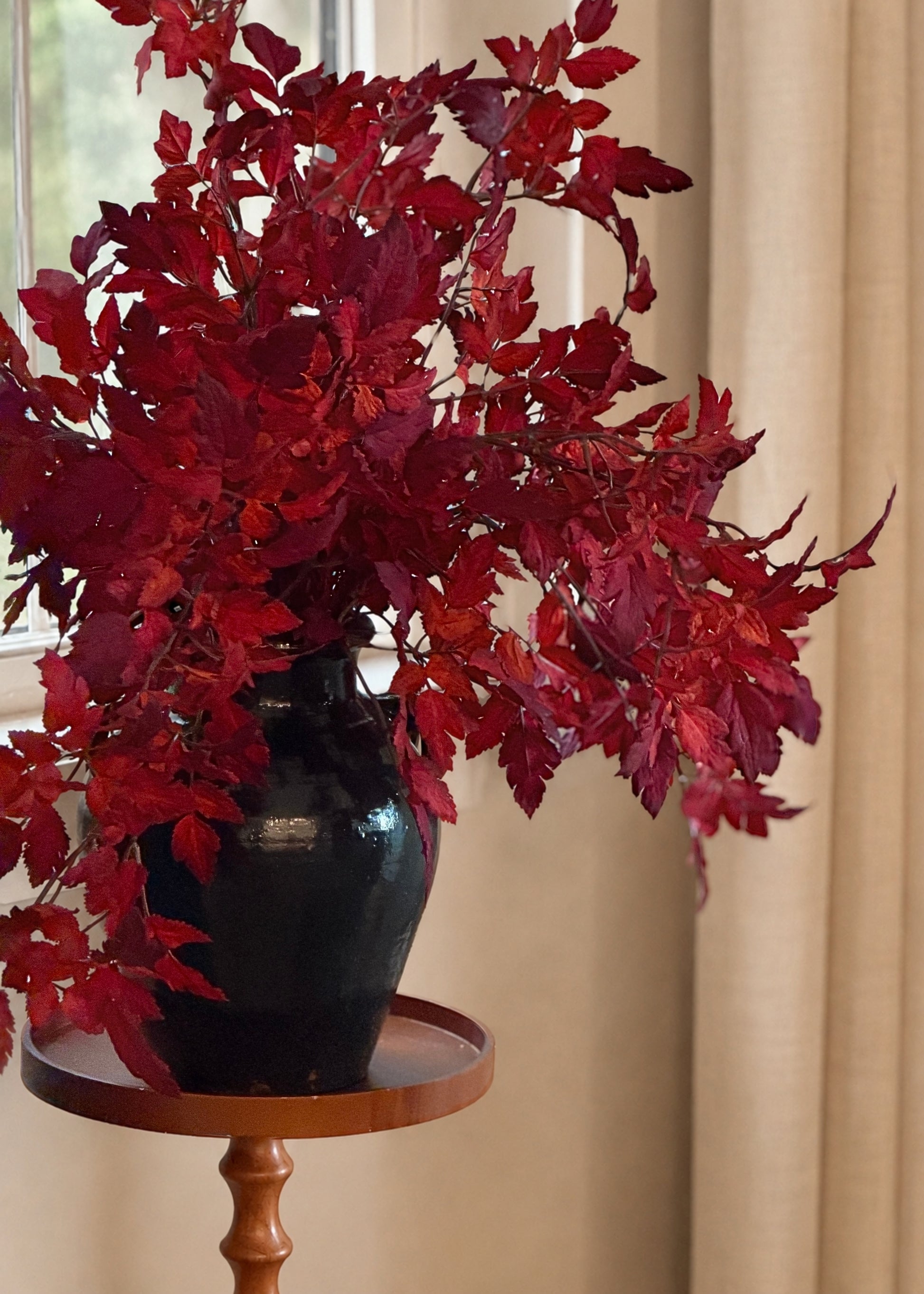 red cimicifuga ramosa leaves in a black vase