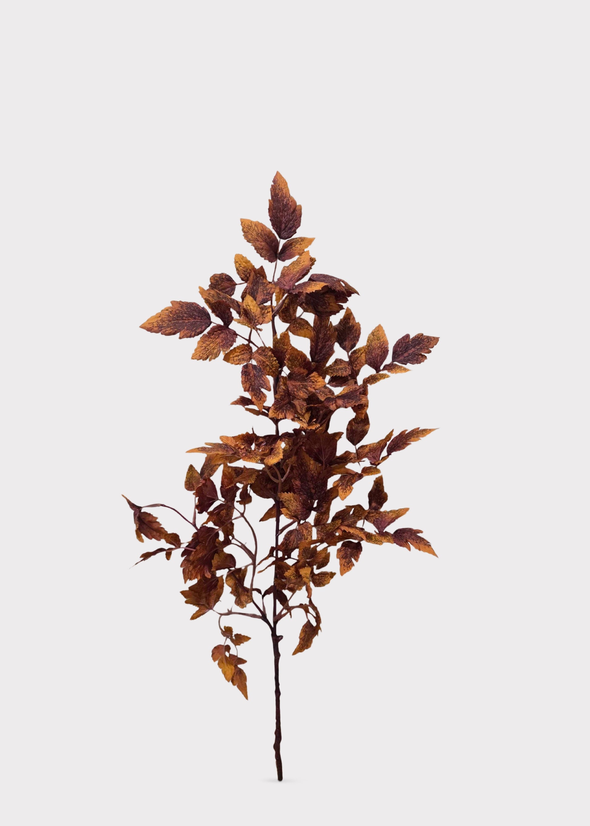 Artificial Cimicifuga Ramosa Leaves in Rust Brown