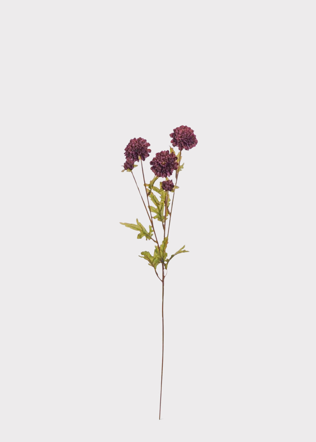 Artificial Pompon Mums in Chocolate Brown 