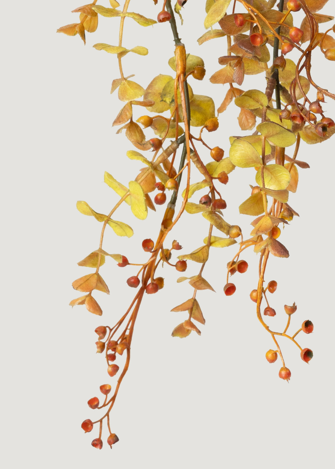 Close-up of Fake Eucalyptus Hanging Bush