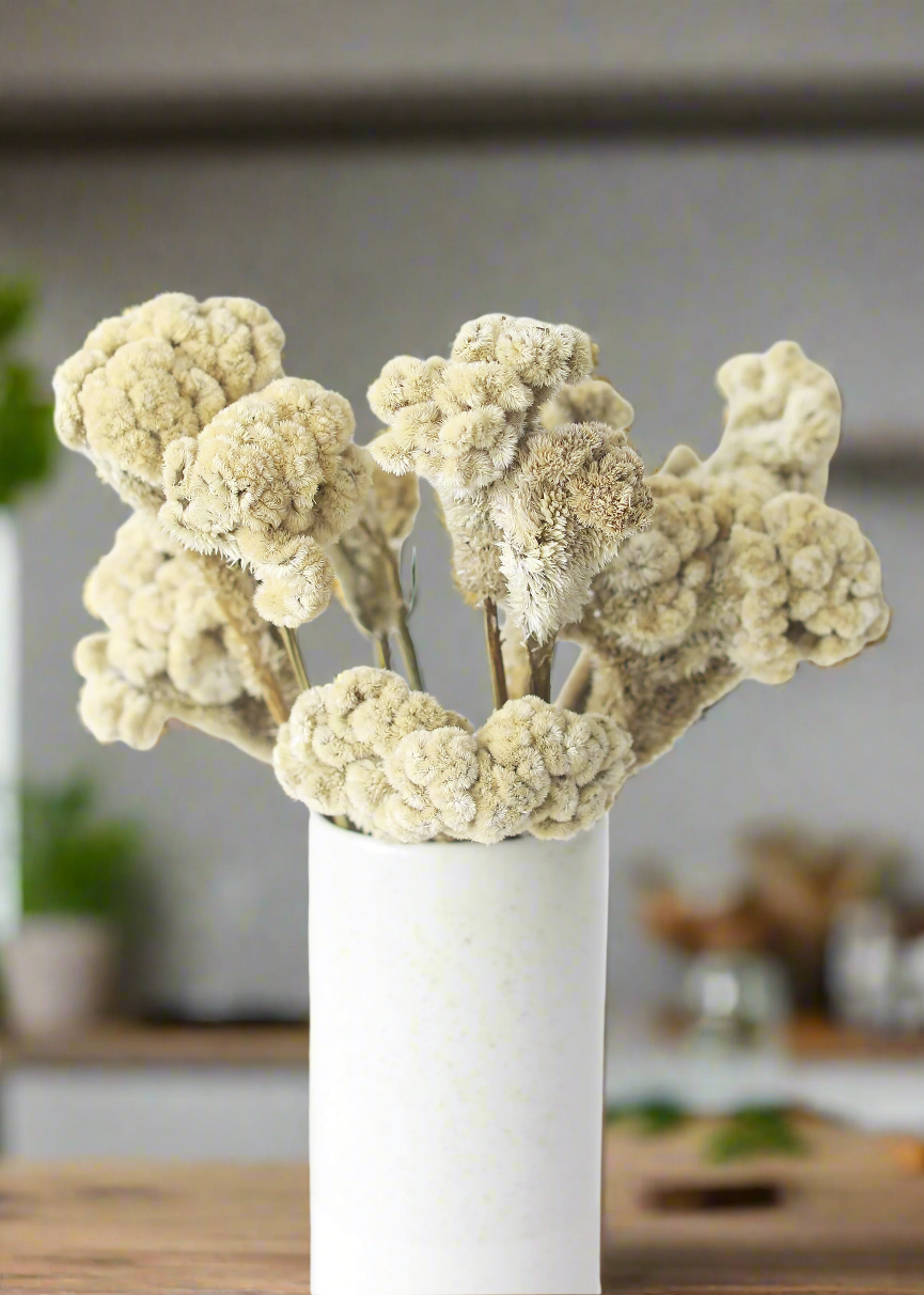 Decorative arrangement of dried white flowers in a white vase on a wooden surface.