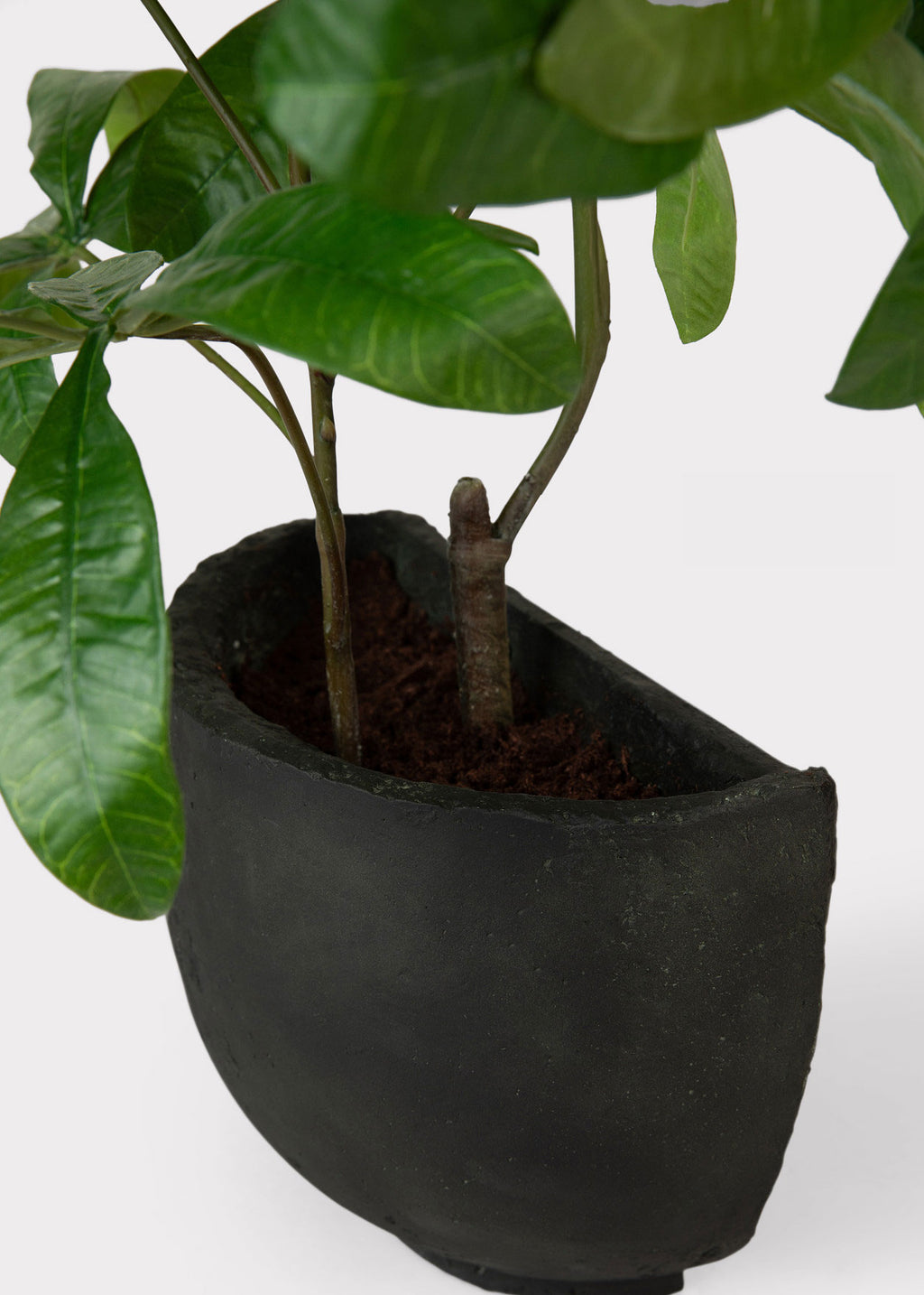 Faux Potted Money Tree Plant