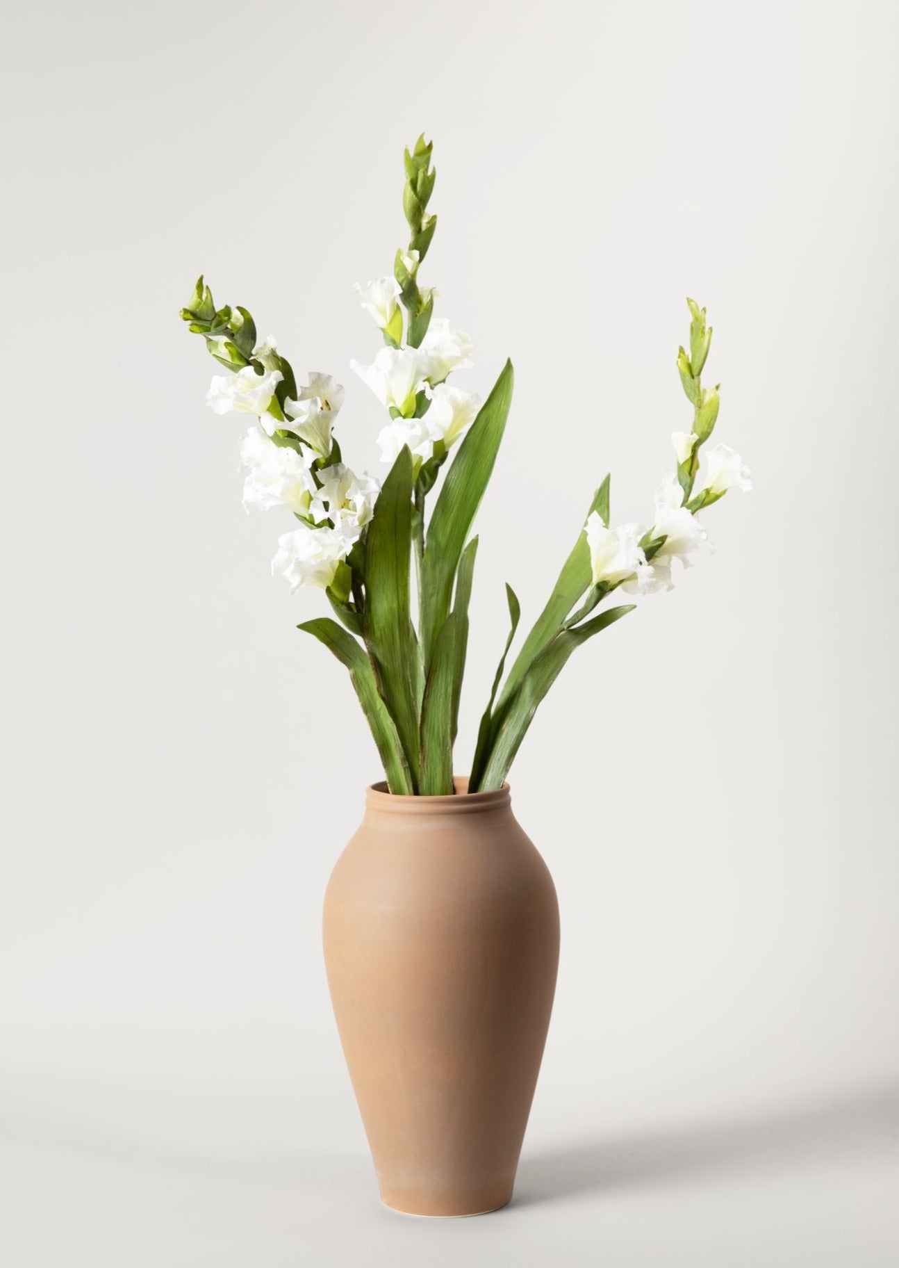 Terracotta Vase with Gladiolus