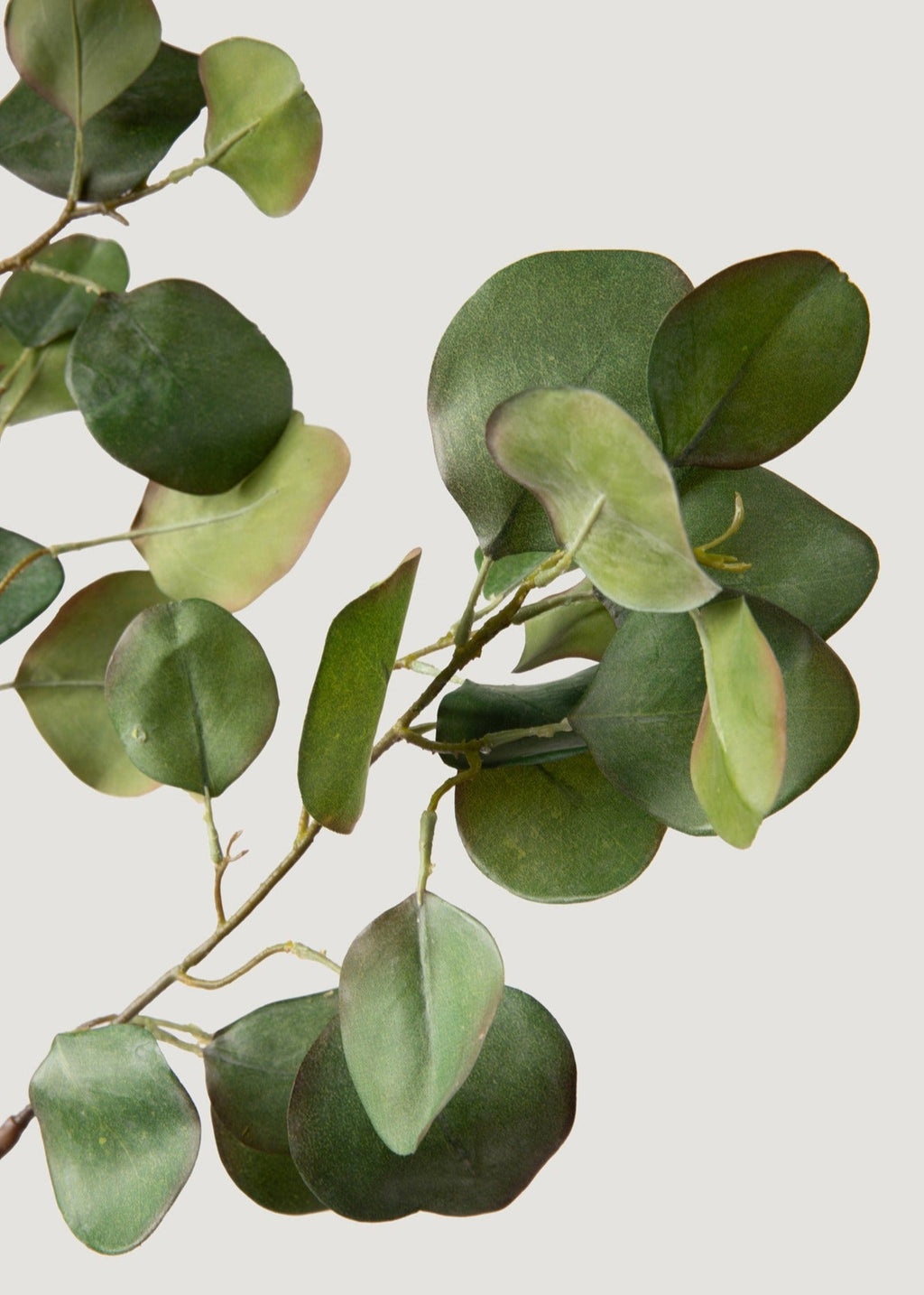 close-up of faux eucalyptus leaves
