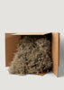 Natural Dried Spanish Moss in Box Package at Afloral