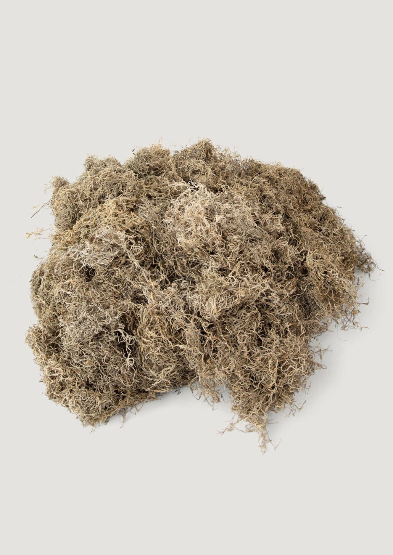 Natural Accessories Dried Spanish Moss at Afloral