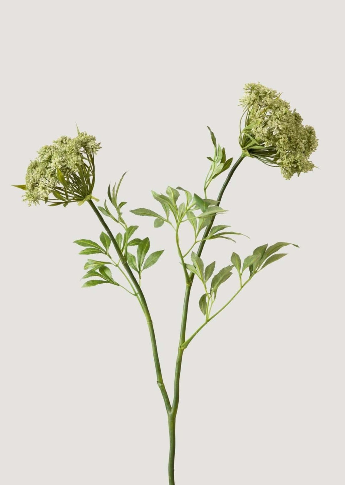 Luxury Faux Flowers Green Queen Annes Lace at afloral