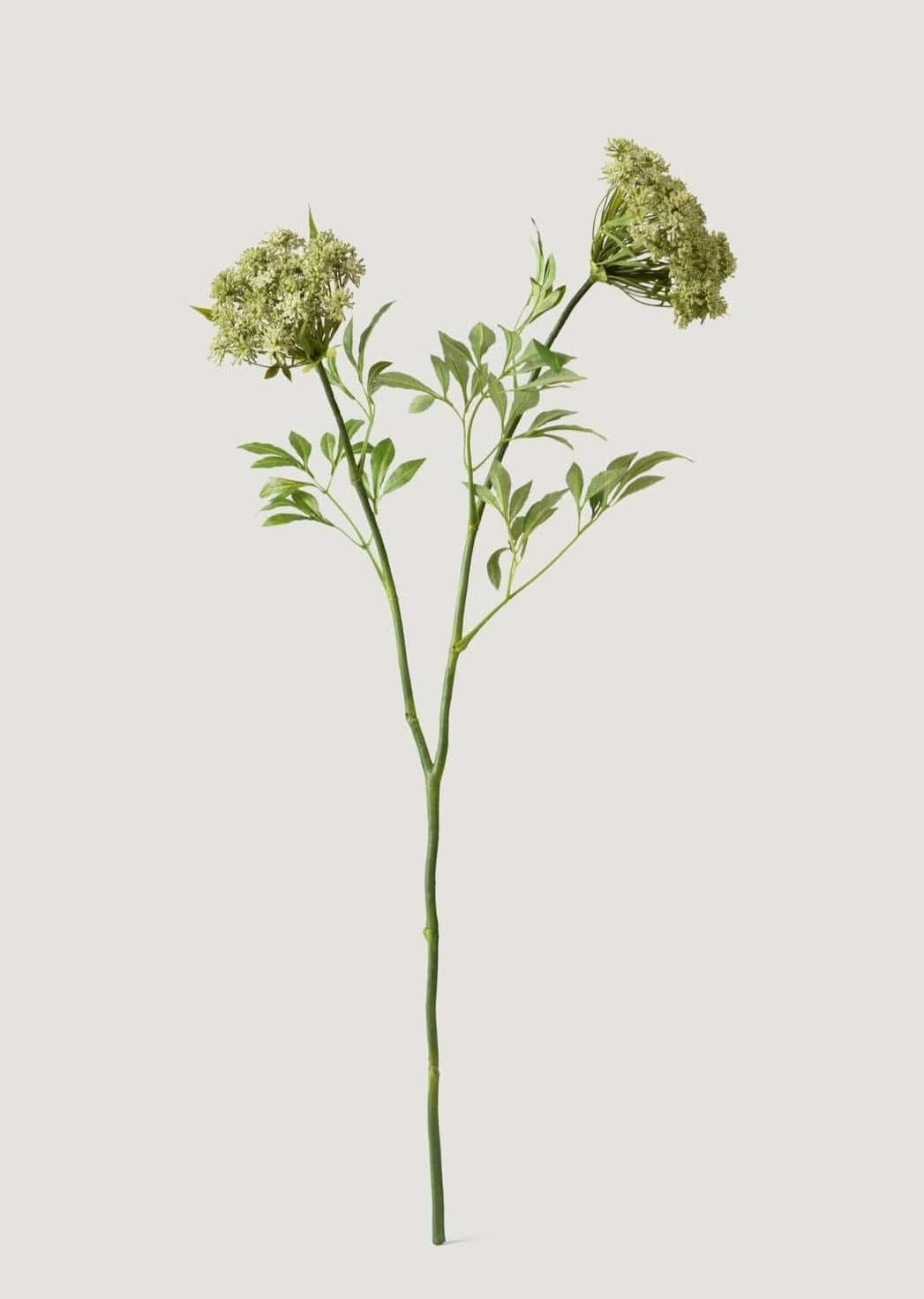 Nature-Inspired Botanicals Faux Queen Anne's Lace Wildflowers