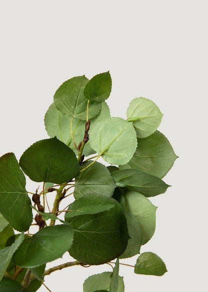 Luxe Faux Green Aspen Leaves in Closeup View