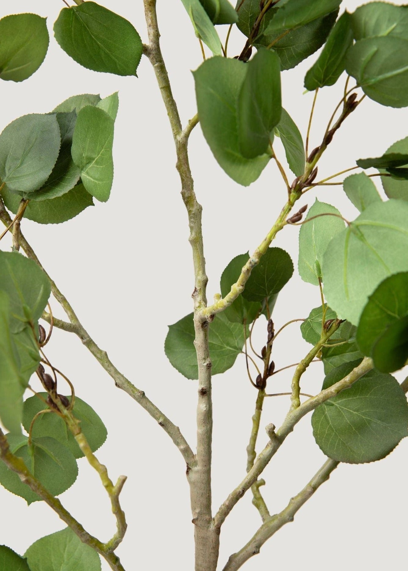 Luxe Faux Greens Closeup of Artificial Aspen Branch