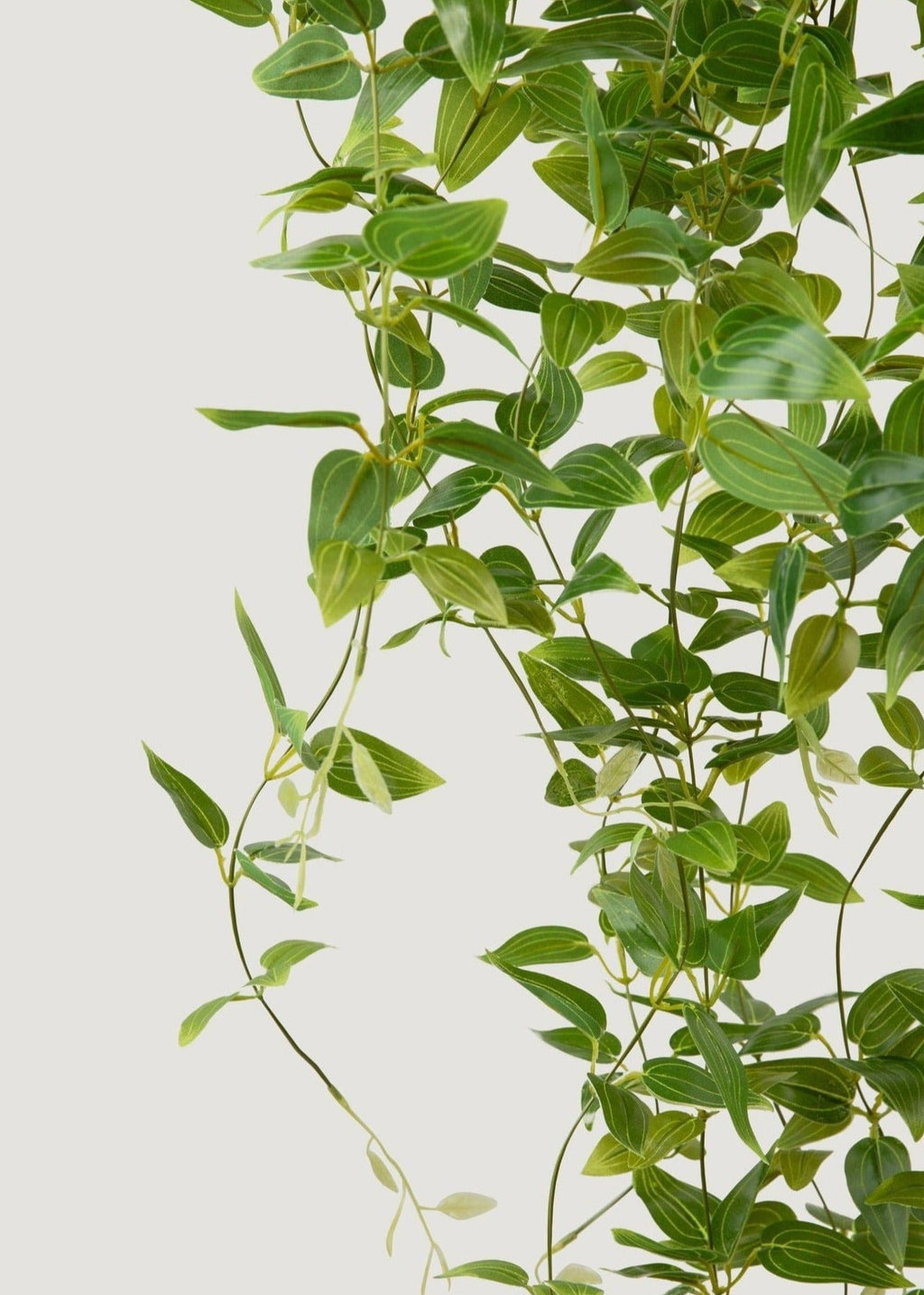 Artificial Tradescantia Leaves