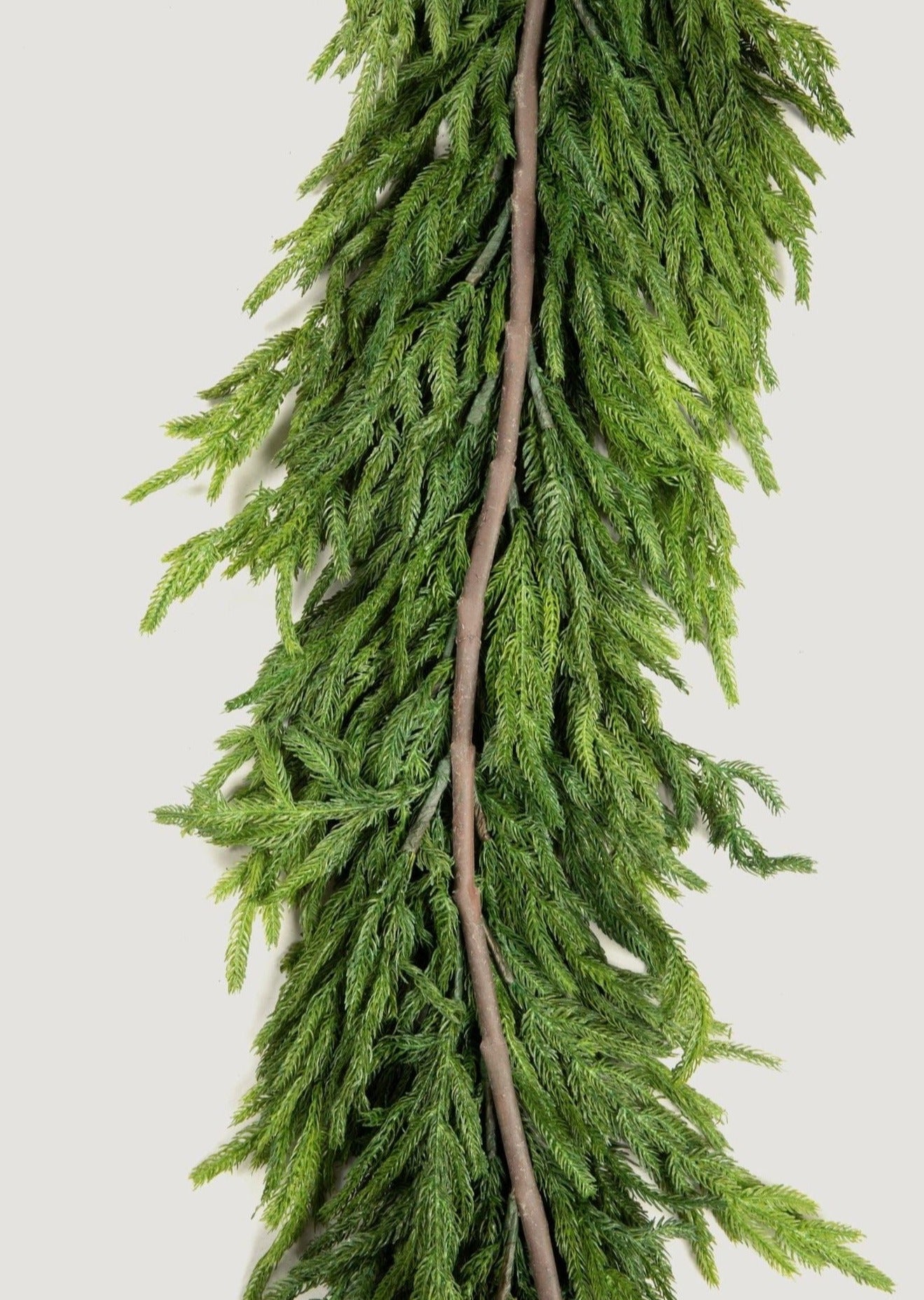 Afloral Norfolk Pine Garland