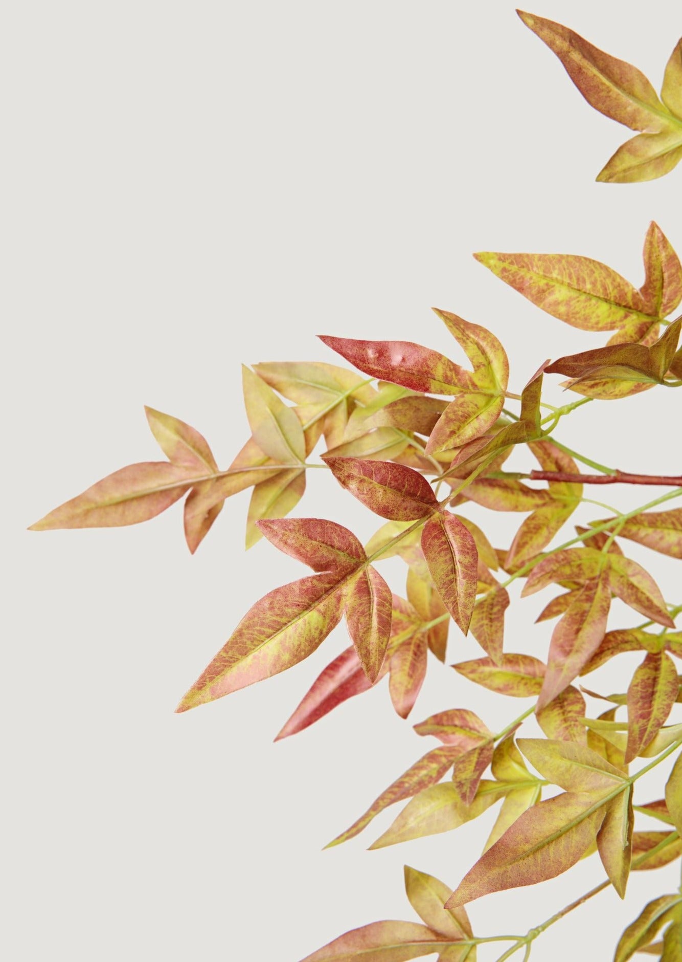 Close Up View of Faux Nandina Leaves in Burgundy Green