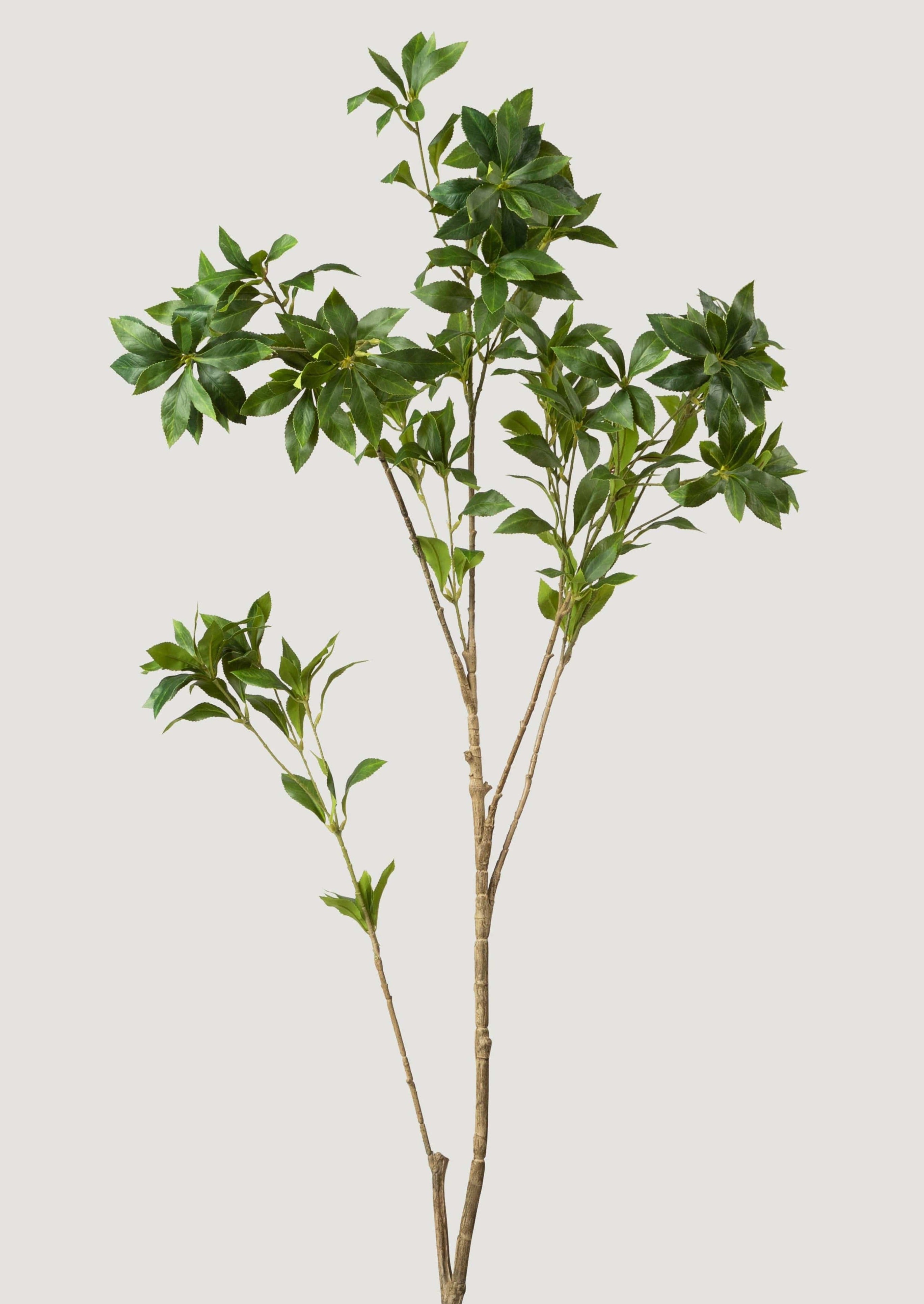 Faux Japonica Branch
