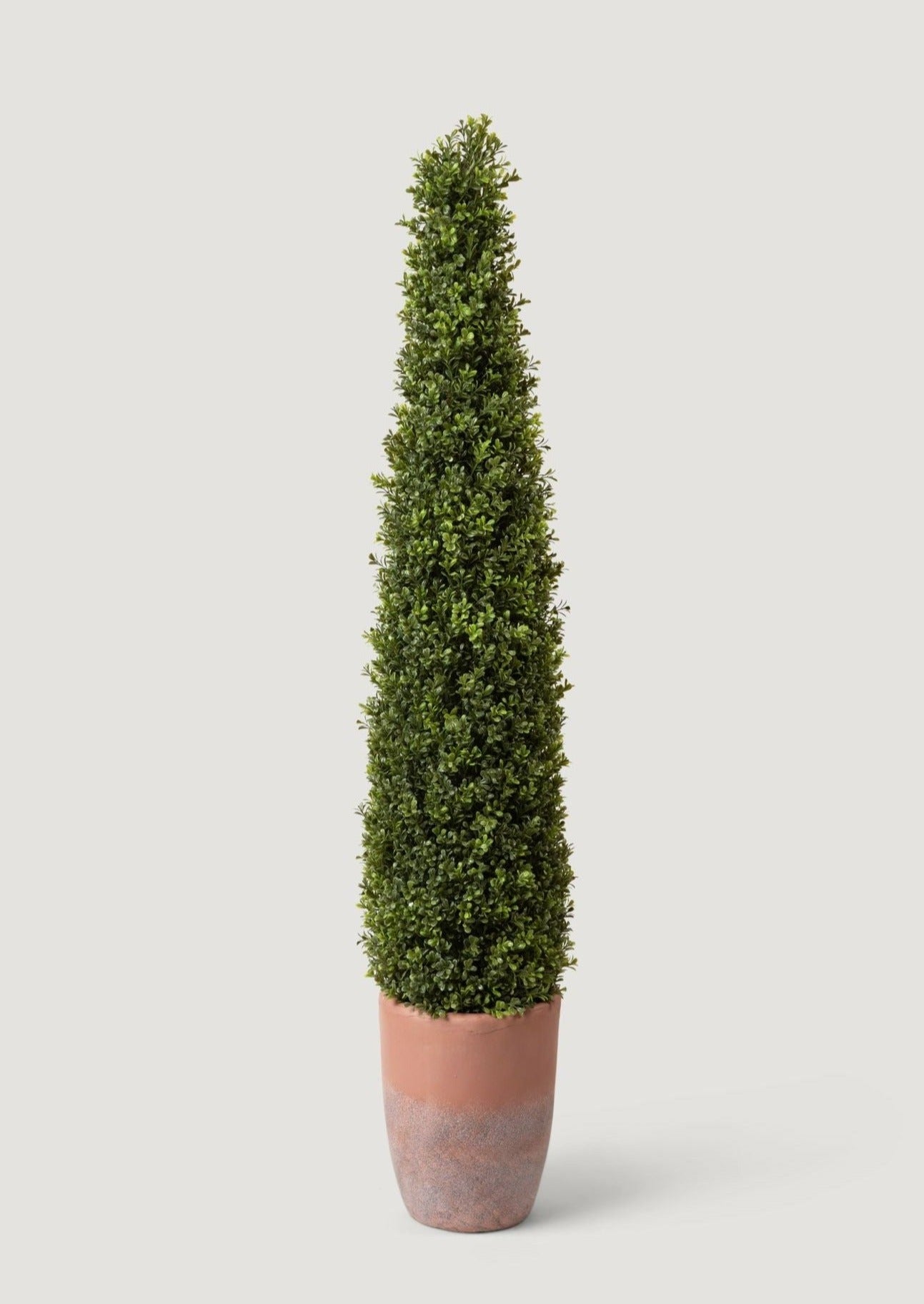 Faux Indoor/Covered Outdoor Boxwood Topiary Tree in Terra Cotta Pot at Afloral