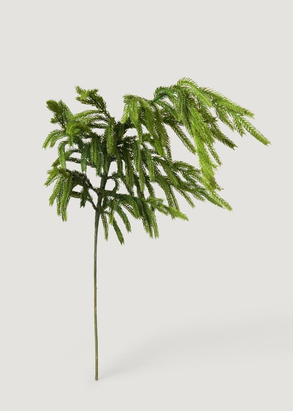 Real Touch Norfolk Pine Branch