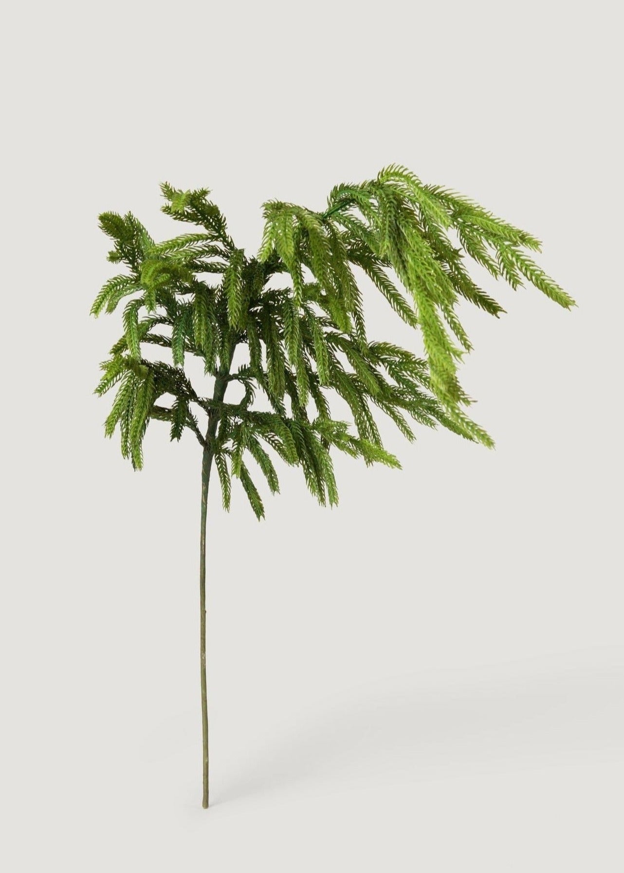 Real Touch Norfolk Pine Branch