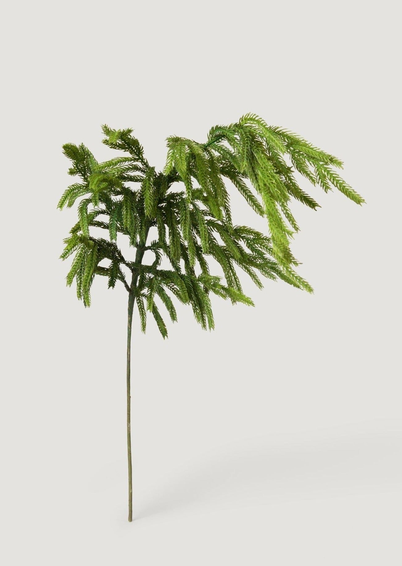 Real Touch Norfolk Pine Branch