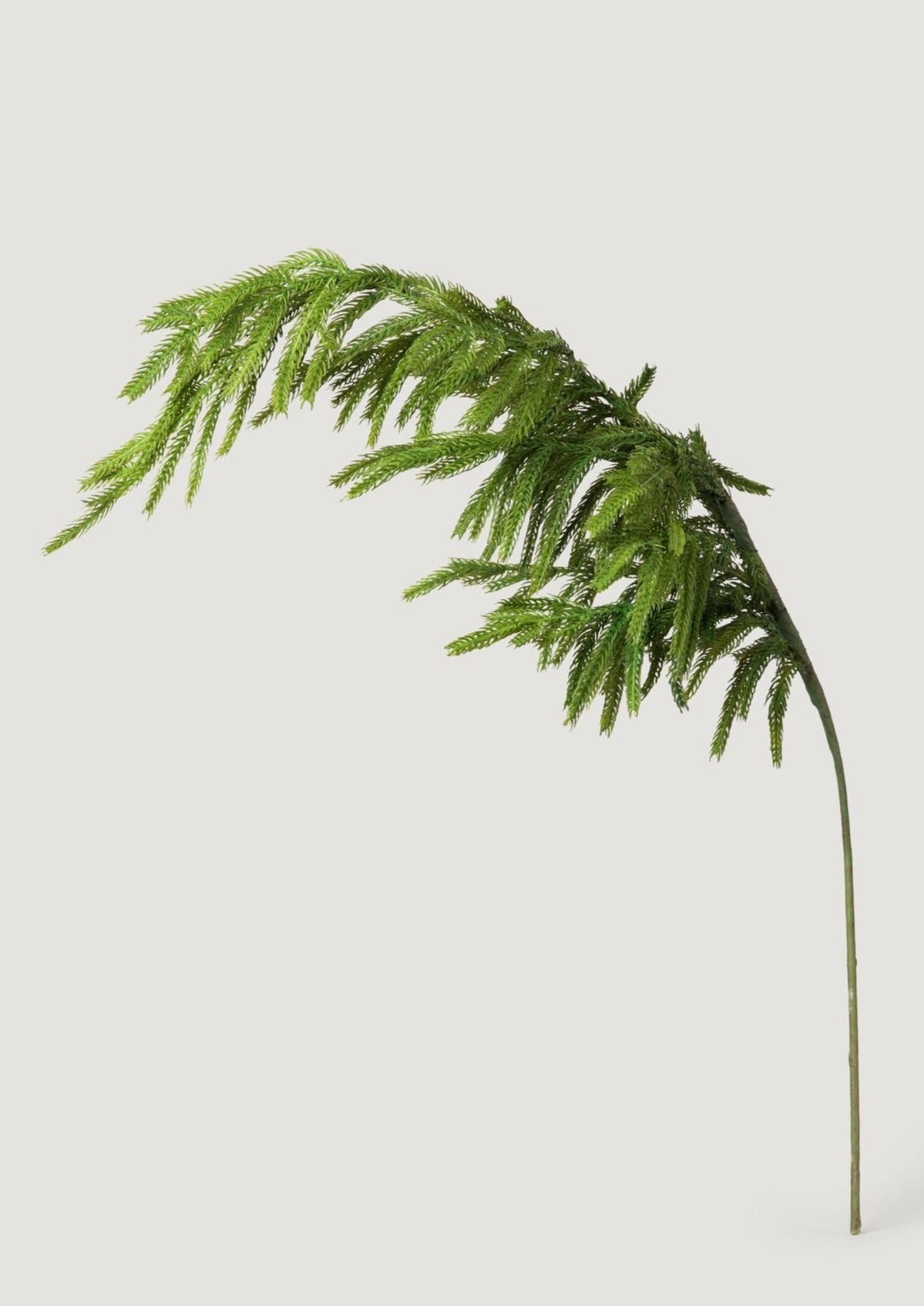 Artificial Holiday Greens Norfolk Pine Branch