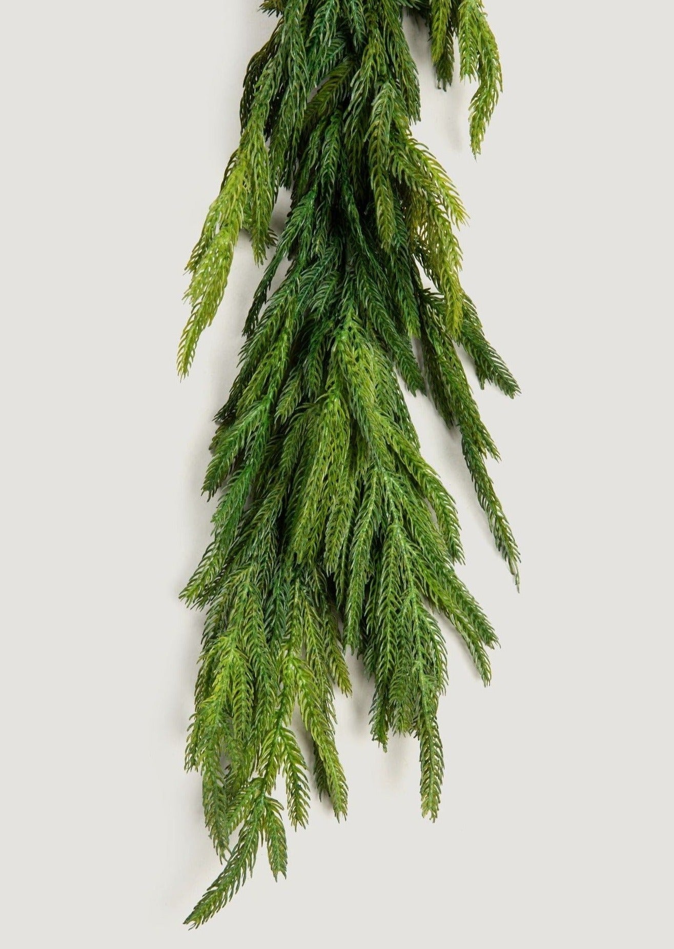 Afloral Norfolk Pine Garland