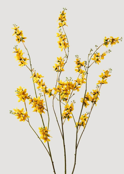  Faux Spring Florals Tall Forsythia Branch at Afloral