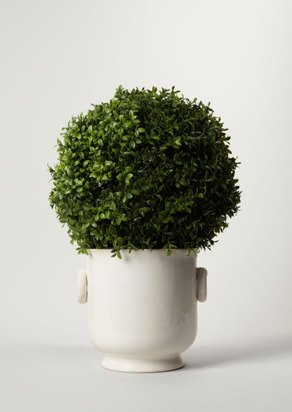 Cream Ceramic Cache Pot with Faux Boxwood Topiary Plant