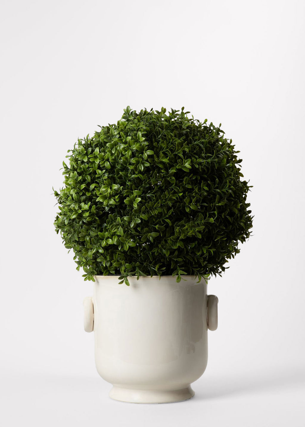 Artificial Boxwood Topiary Styled in Cream Cache Pot