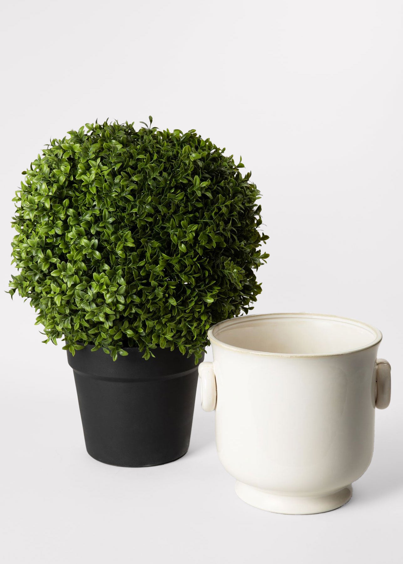 Faux Boxwood Topiary Potted Plant with Cream Ceramic Cache Pot